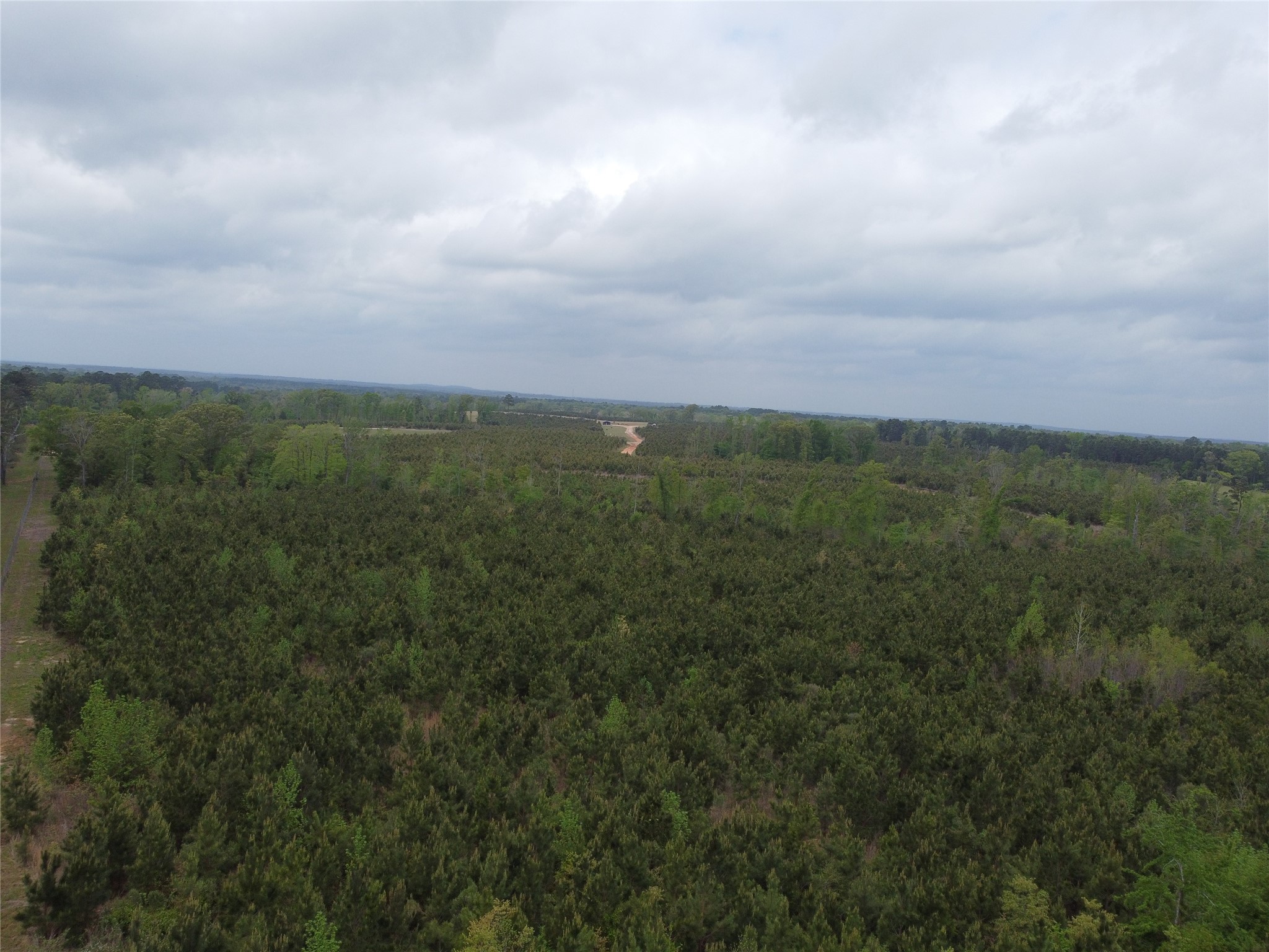 Tbd Joy Wright Mount Rd Property Photo 11