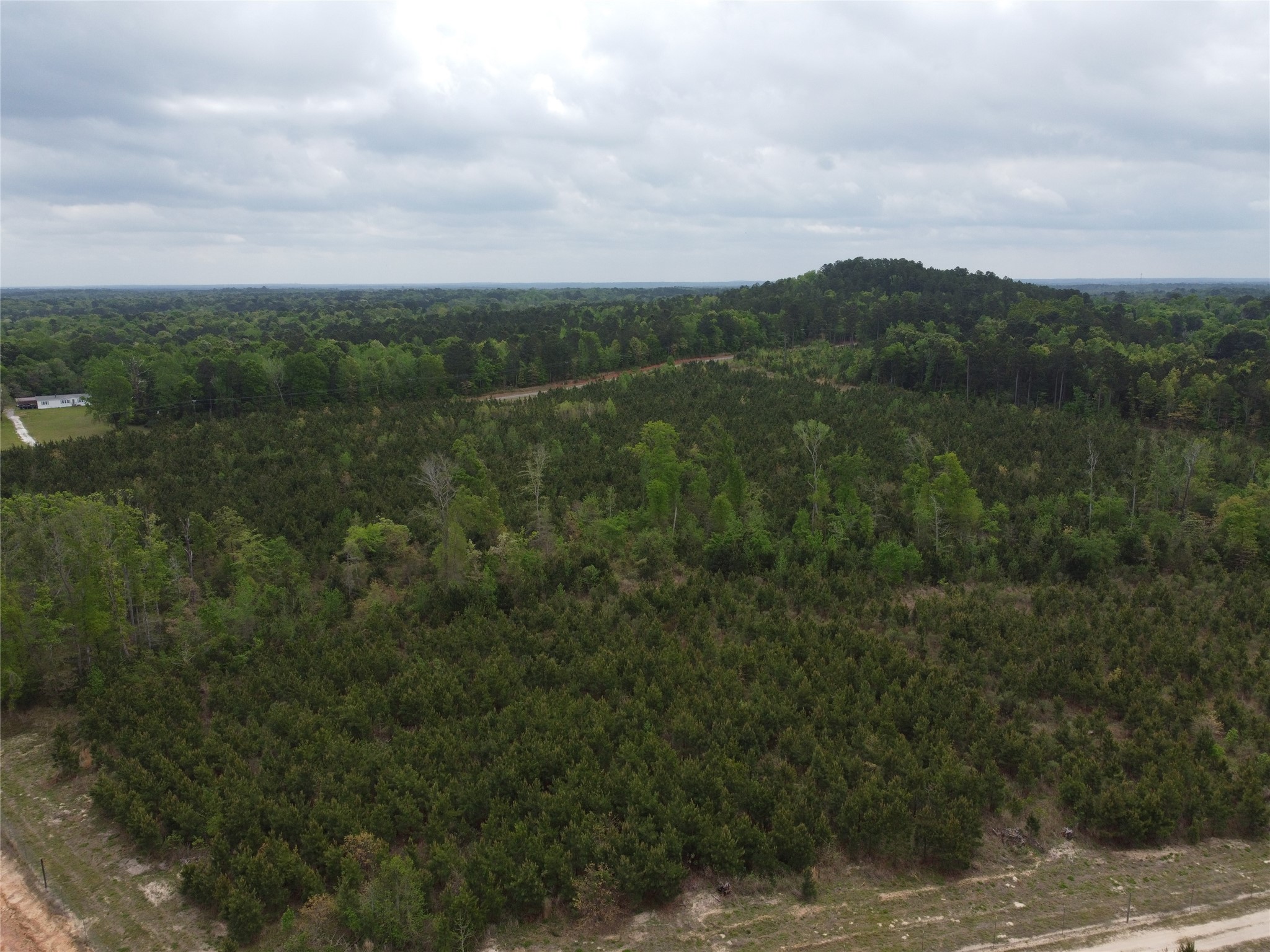 Tbd Joy Wright Mount Rd Property Photo 12