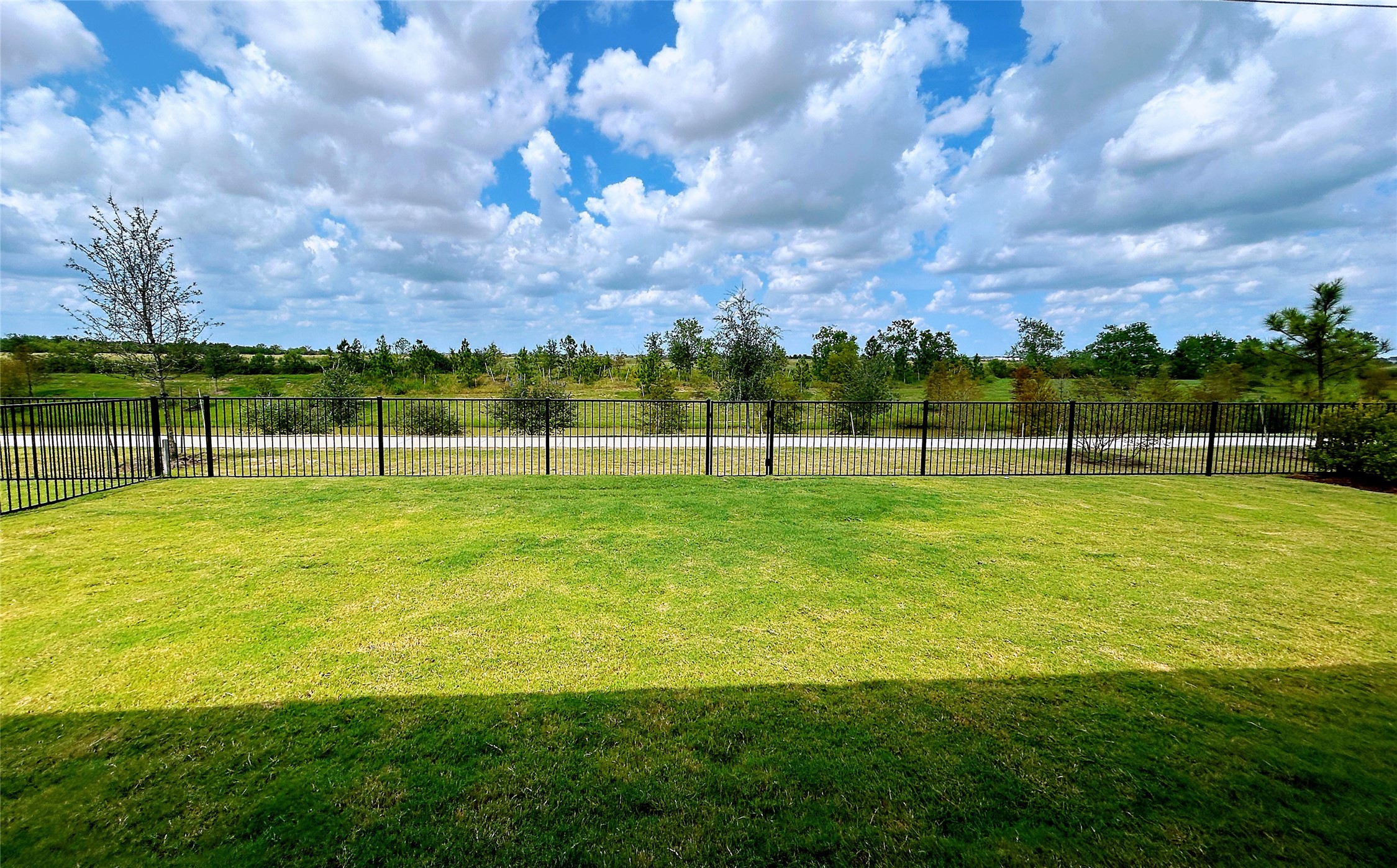 29806 Loblolly View Lane Property Photo 12