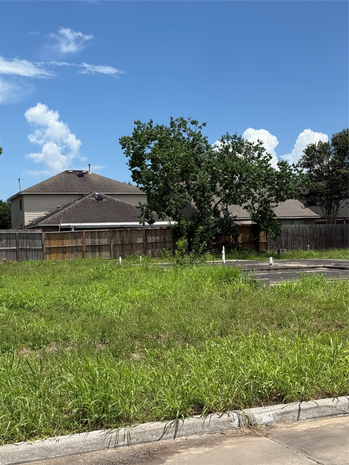 10205 Carmencita Way Property Photo 4