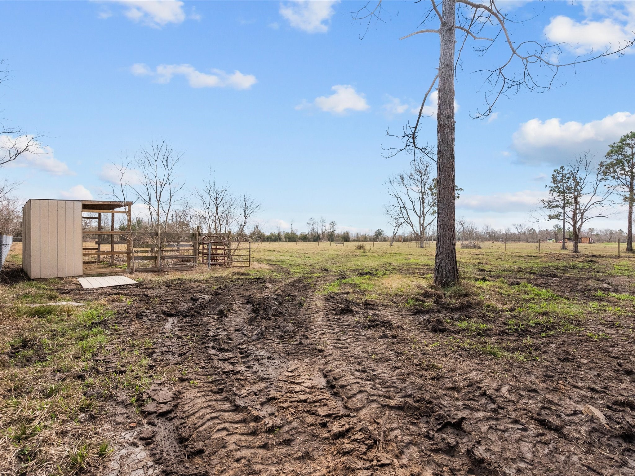 11725 Country Side Drive Property Photo 39