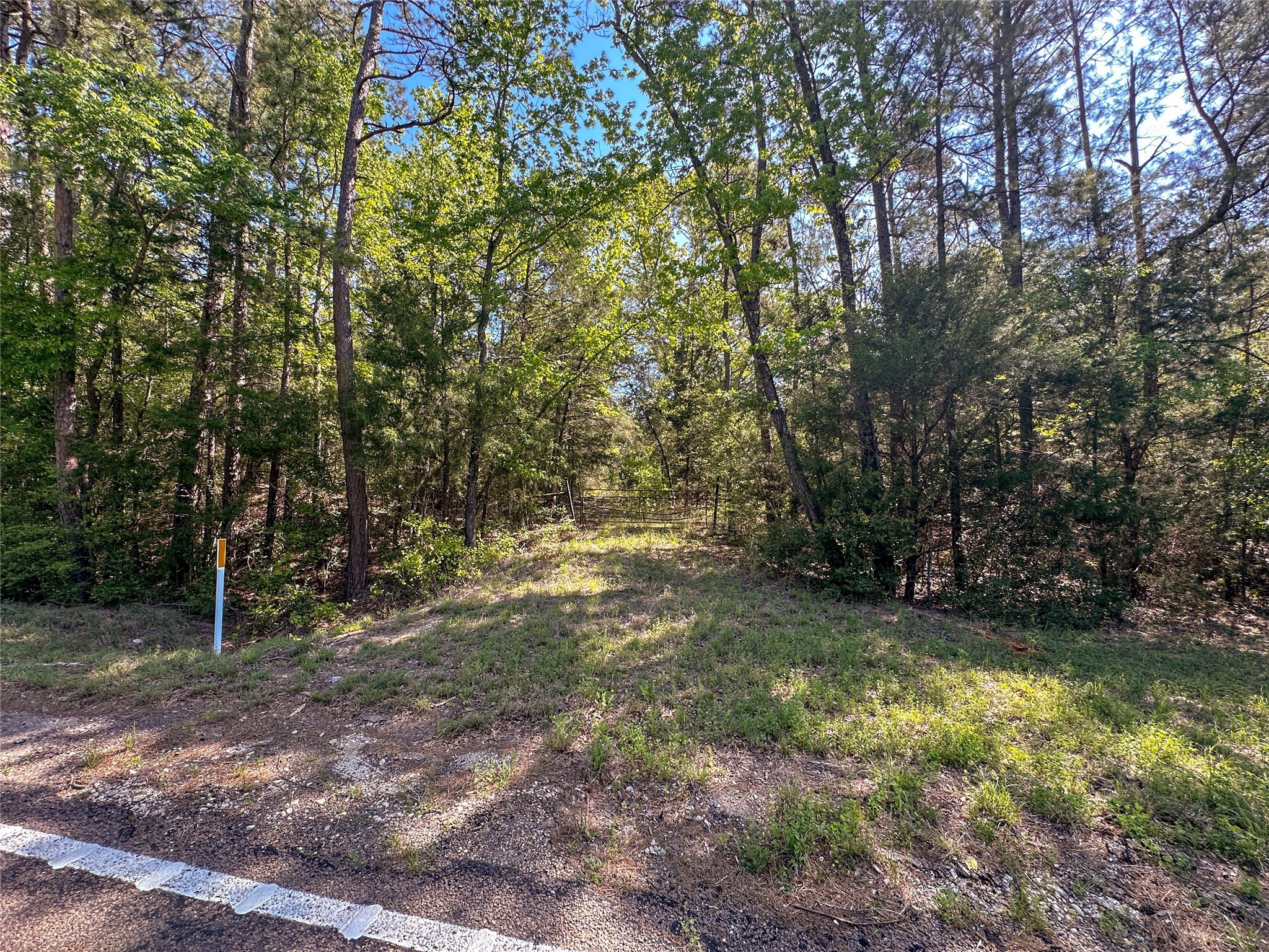 Tbd Fm 1511 Property Photo 2