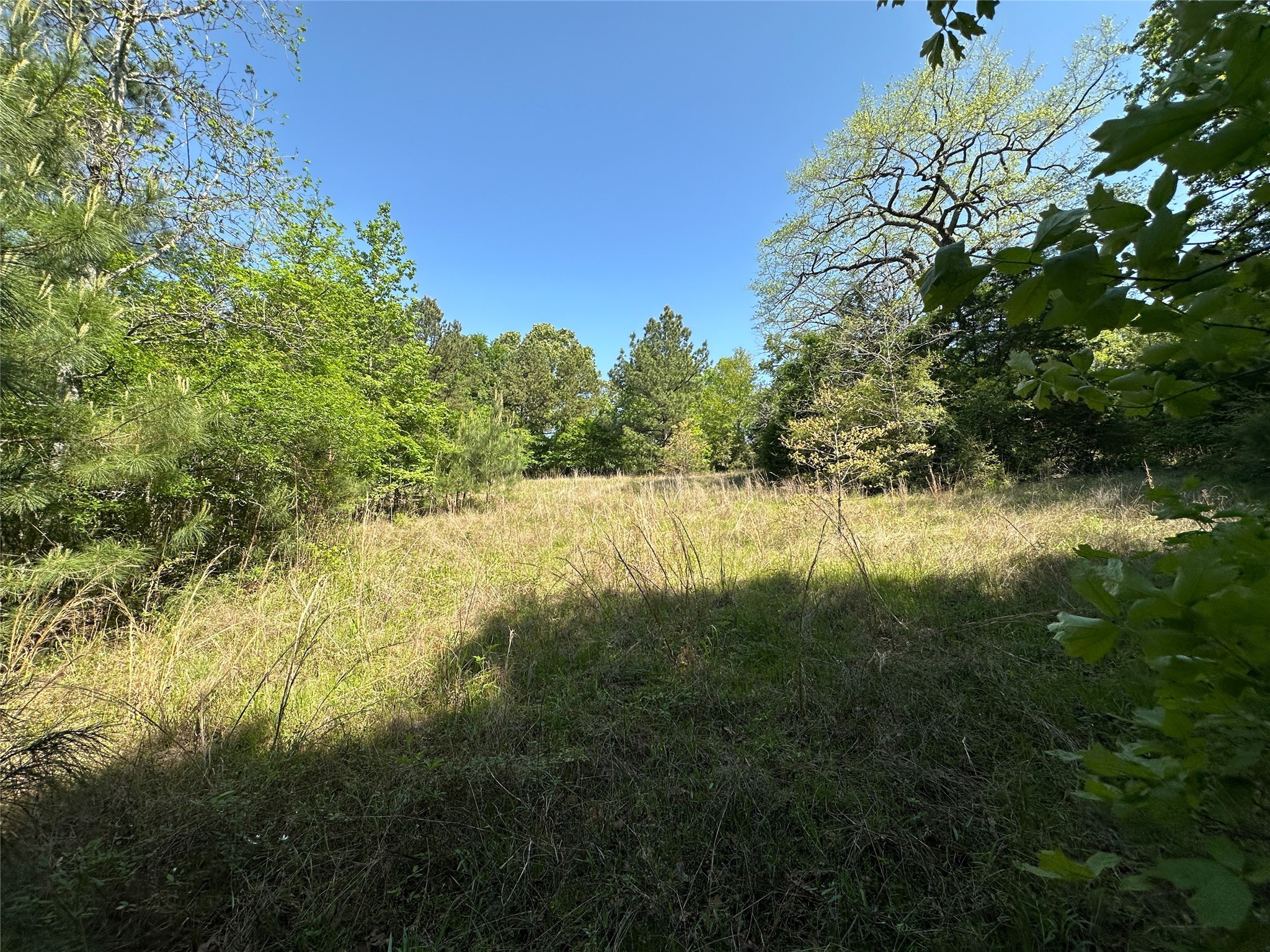 Tbd Fm 1511 Property Photo 4