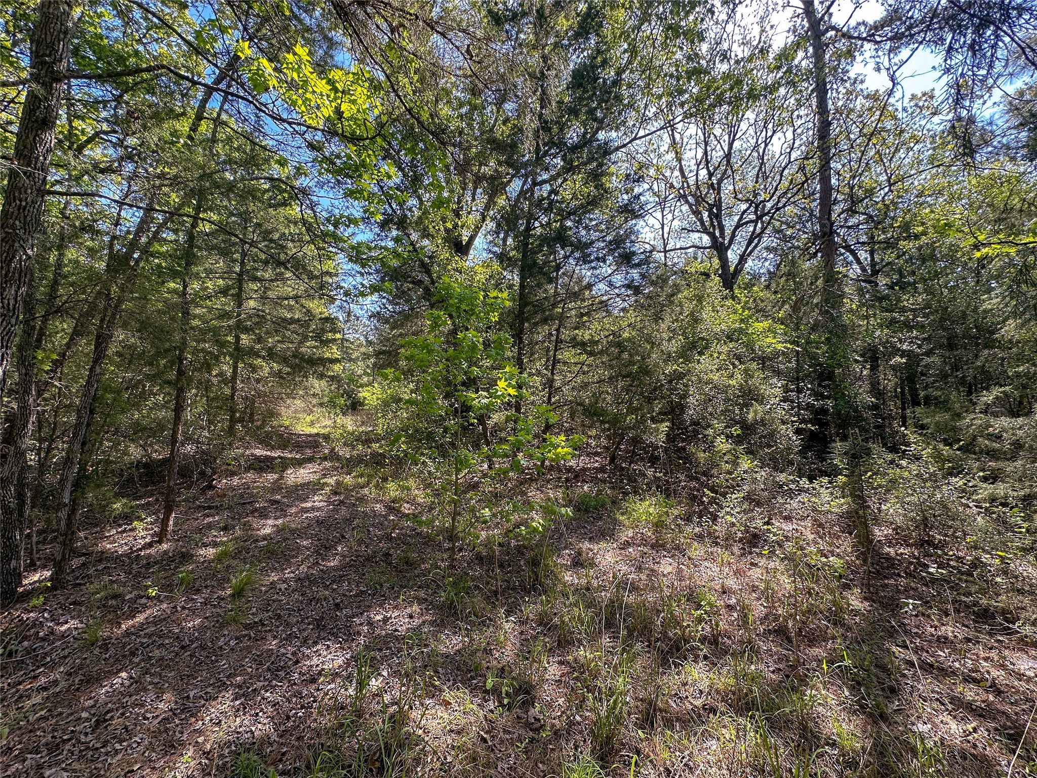 Tbd Fm 1511 Property Photo 5