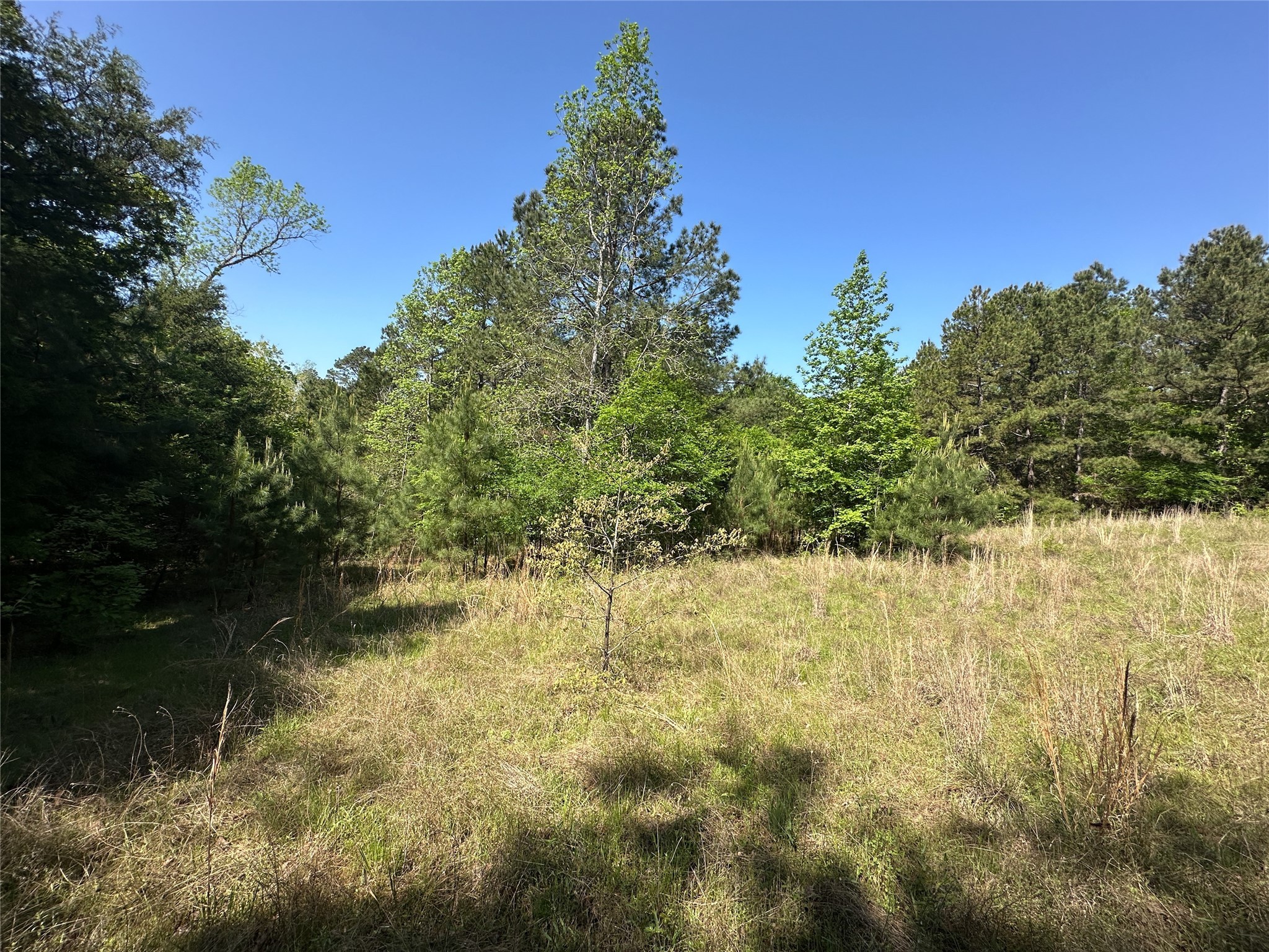 Tbd Fm 1511 Property Photo 6