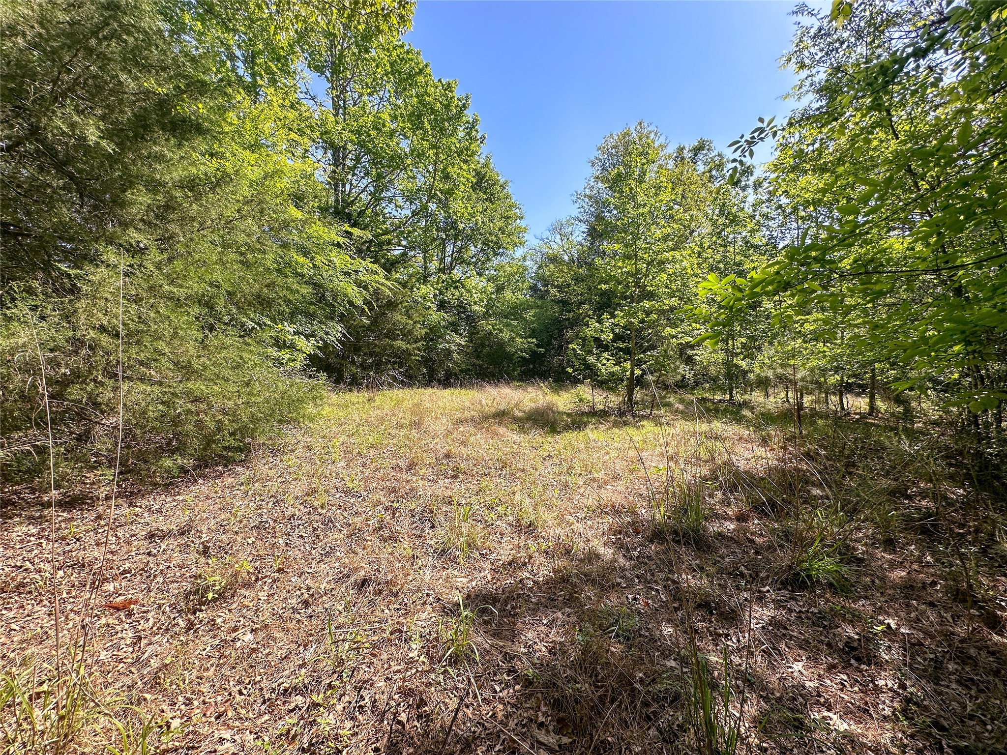 Tbd Fm 1511 Property Photo 8