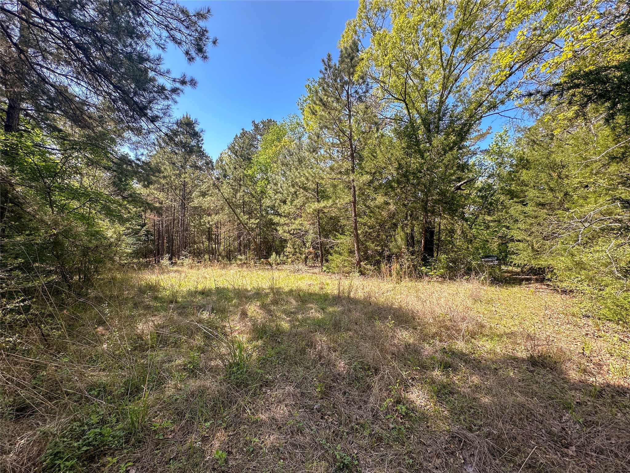 Tbd Fm 1511 Property Photo 10