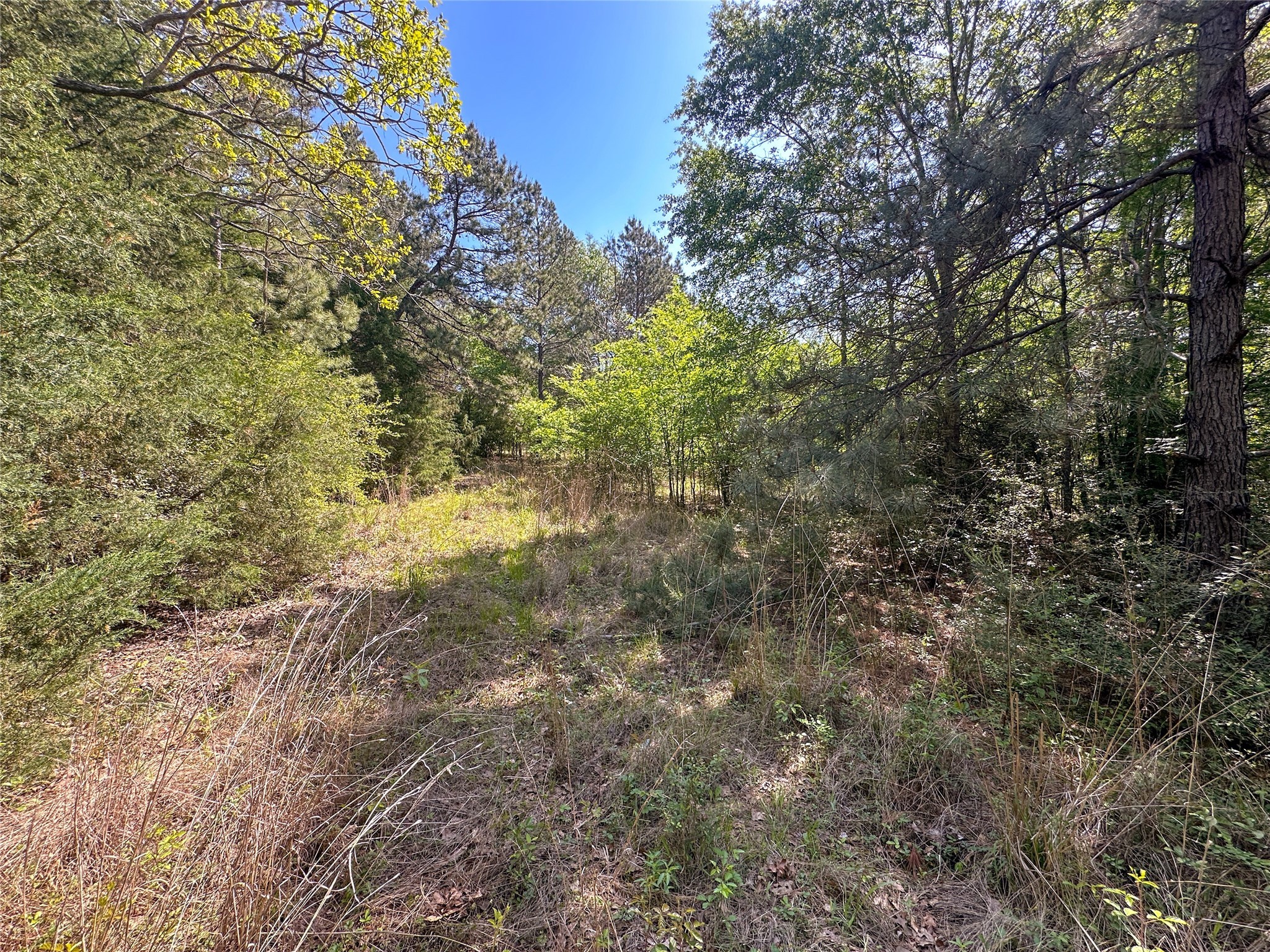 Tbd Fm 1511 Property Photo 11