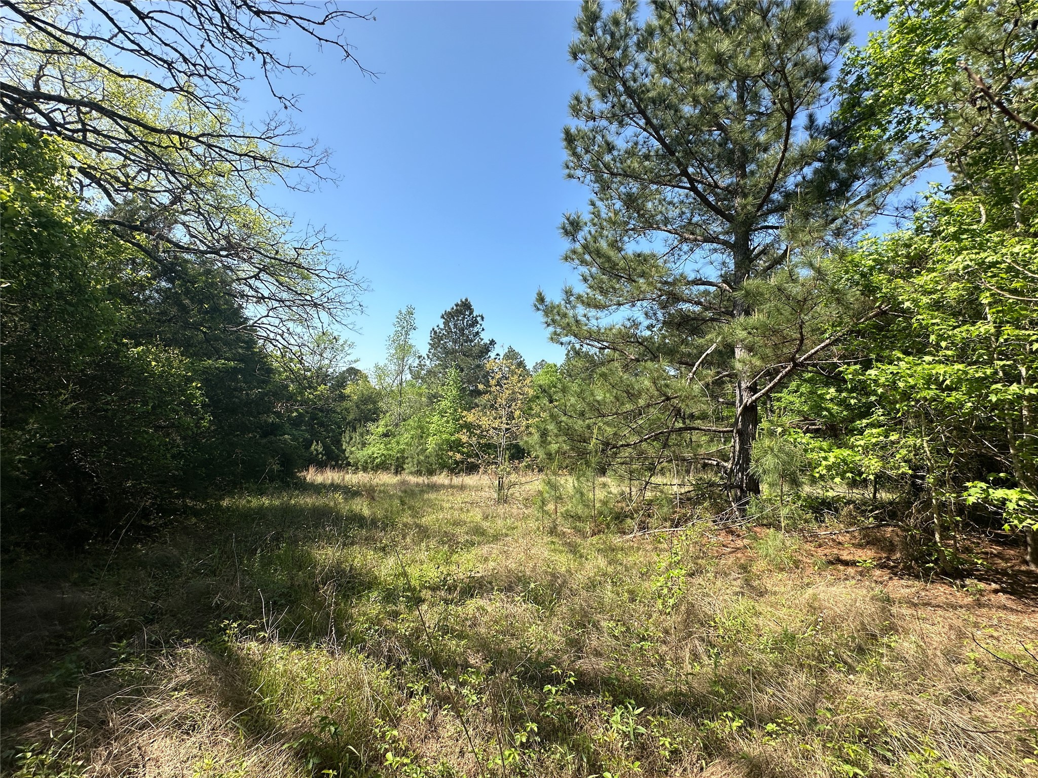 Tbd Fm 1511 Property Photo 12