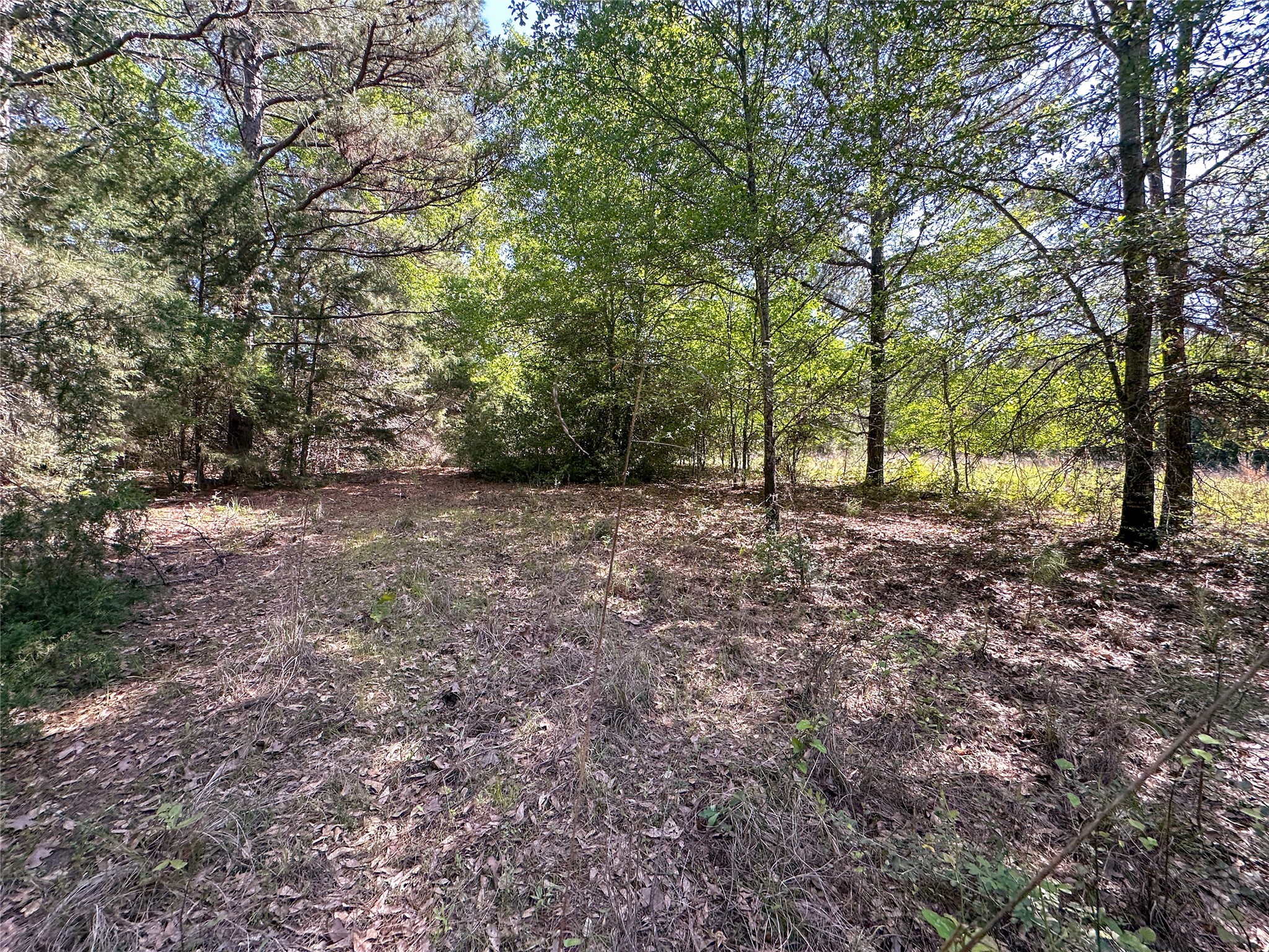 Tbd Fm 1511 Property Photo 13