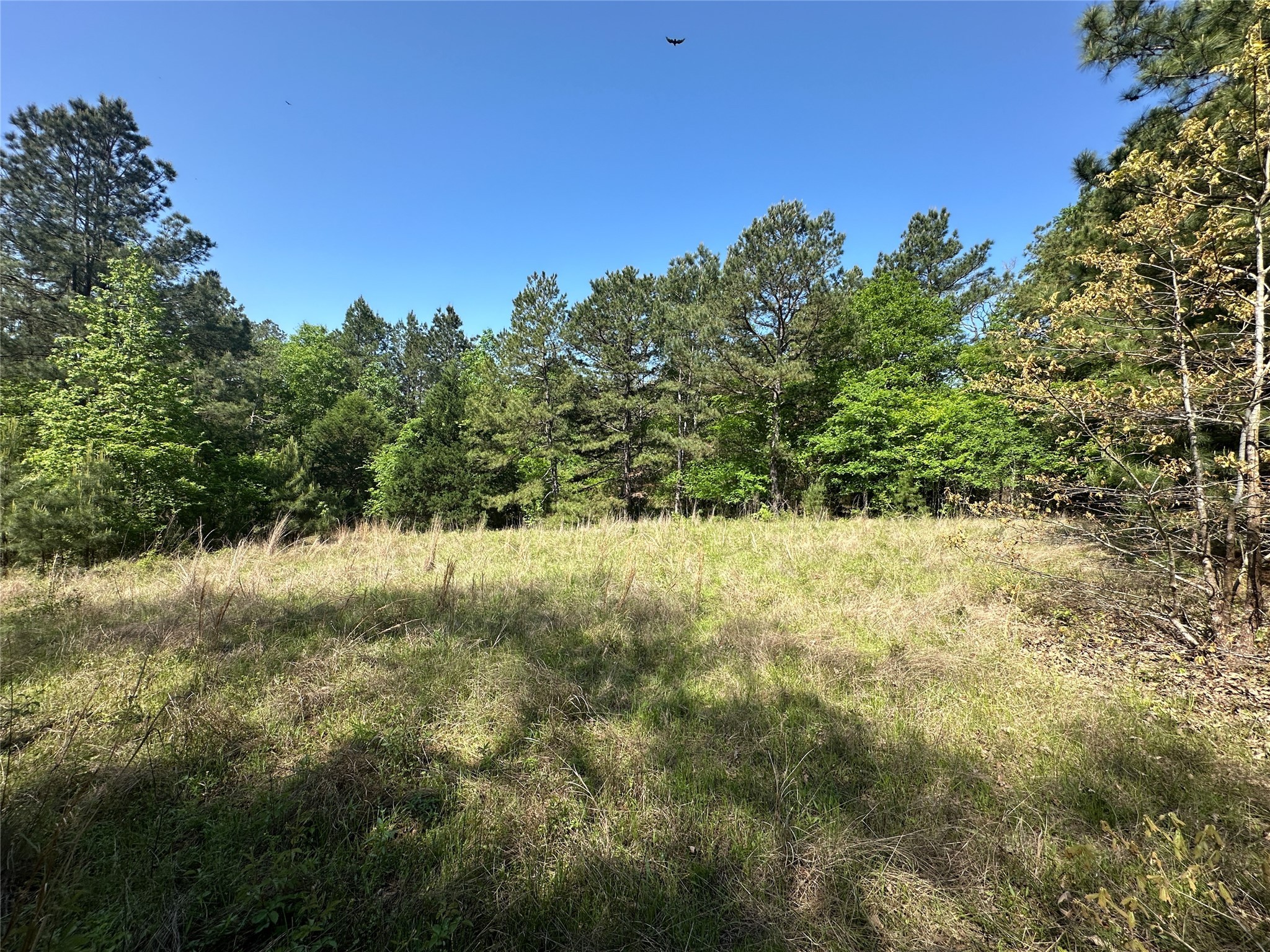 Tbd Fm 1511 Property Photo 14