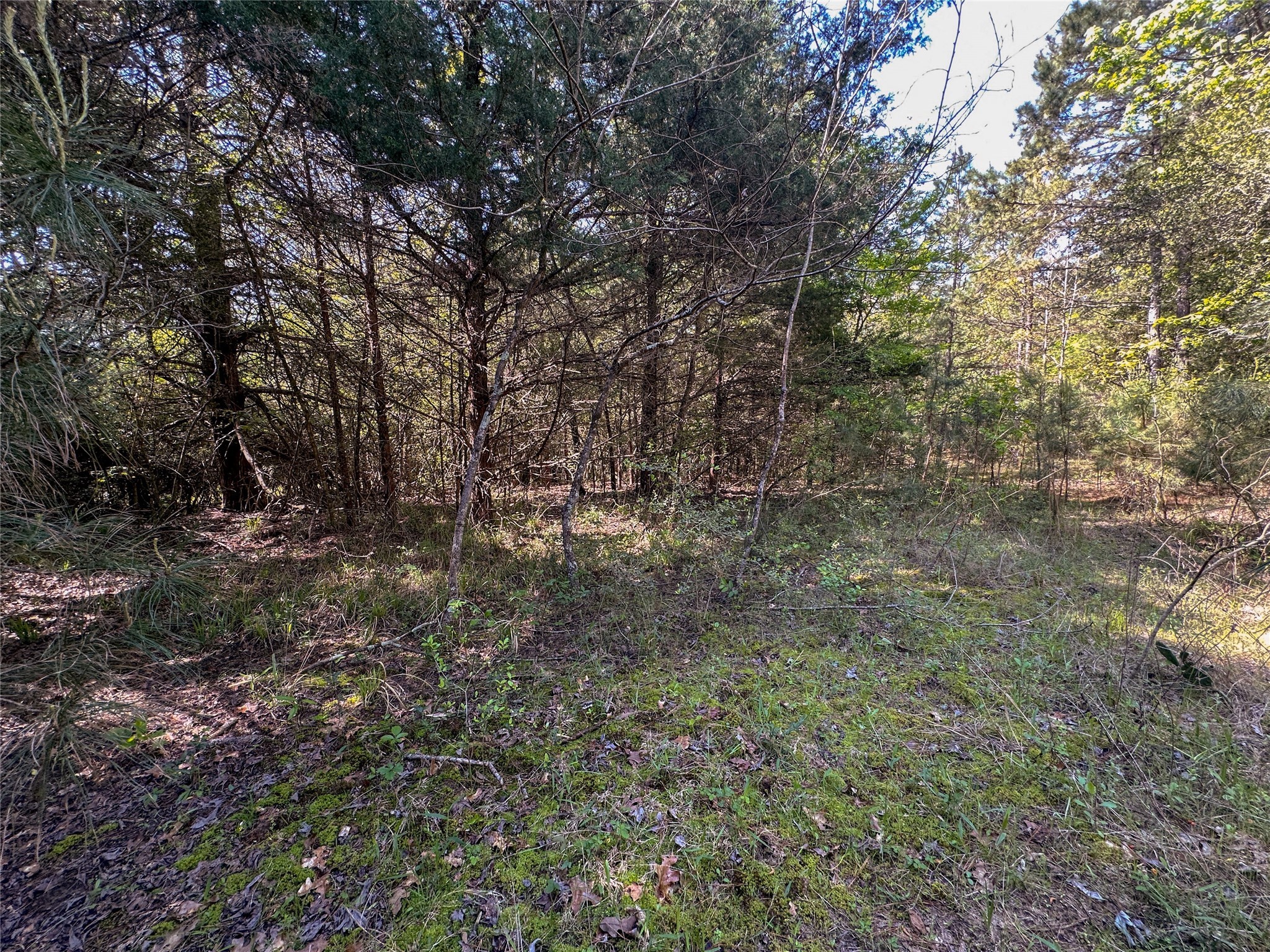 Tbd Fm 1511 Property Photo 15