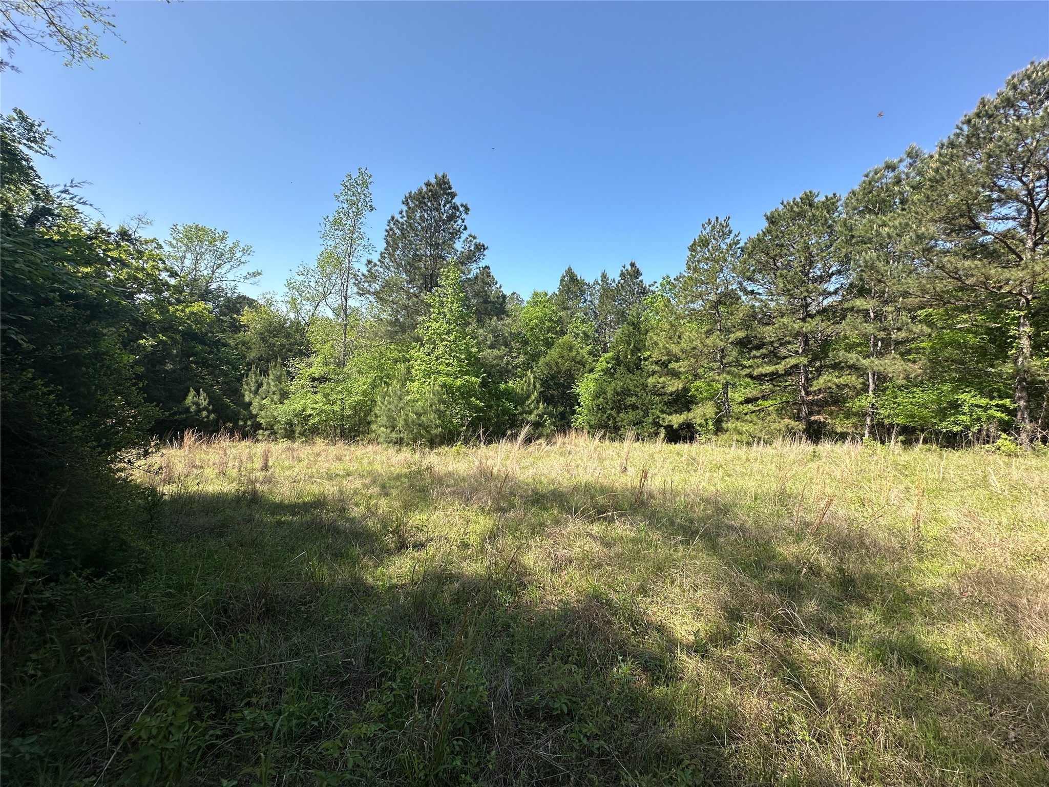 Tbd Fm 1511 Property Photo 16