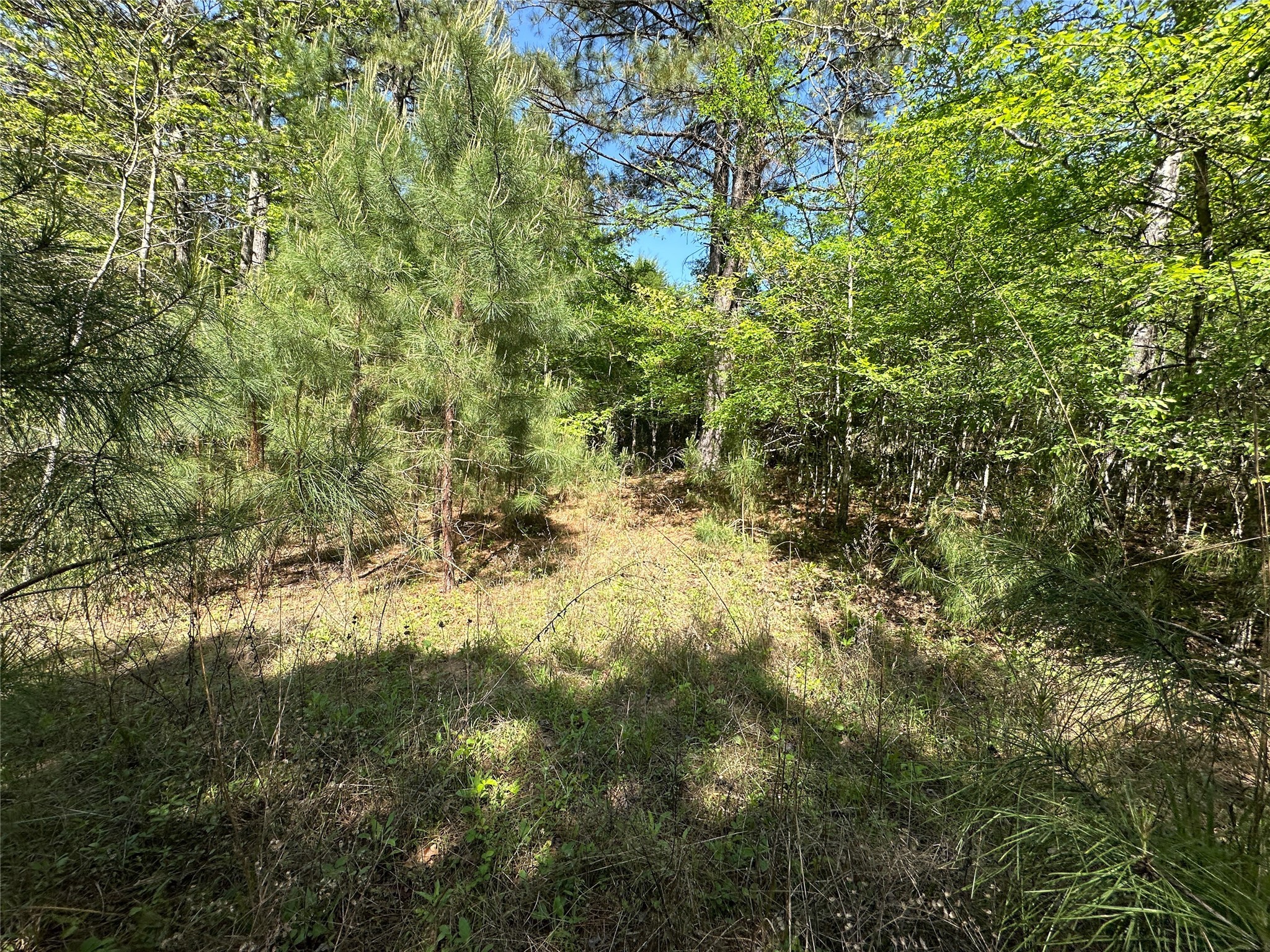Tbd Fm 1511 Property Photo 18