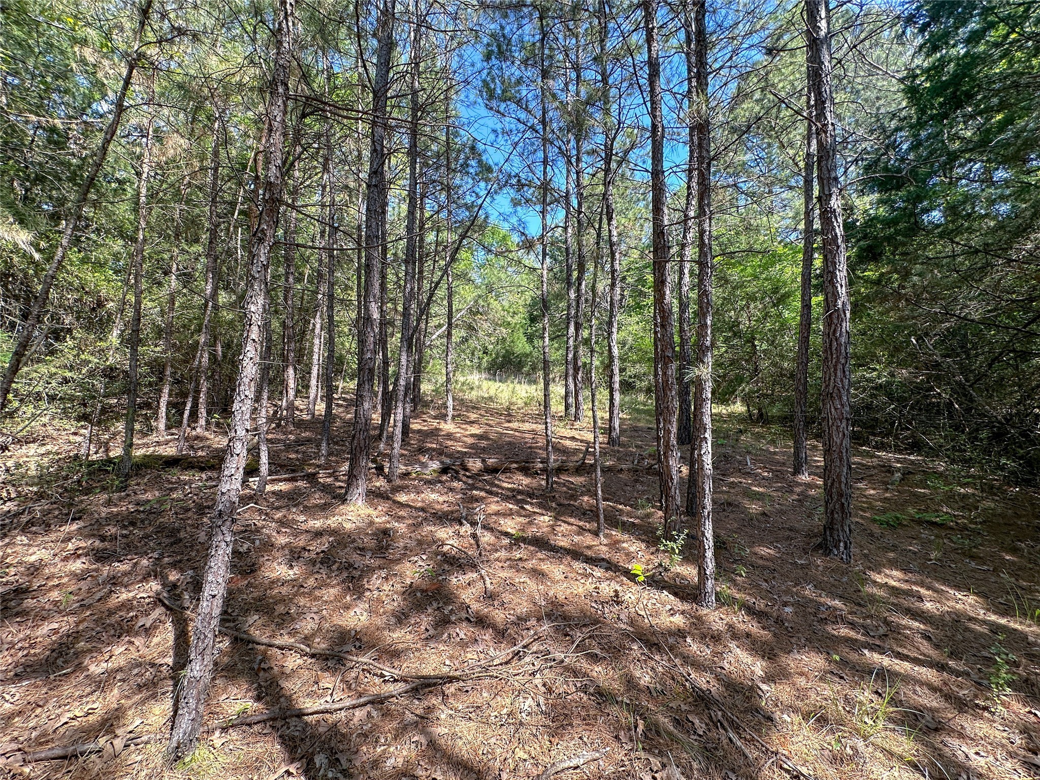 Tbd Fm 1511 Property Photo 20
