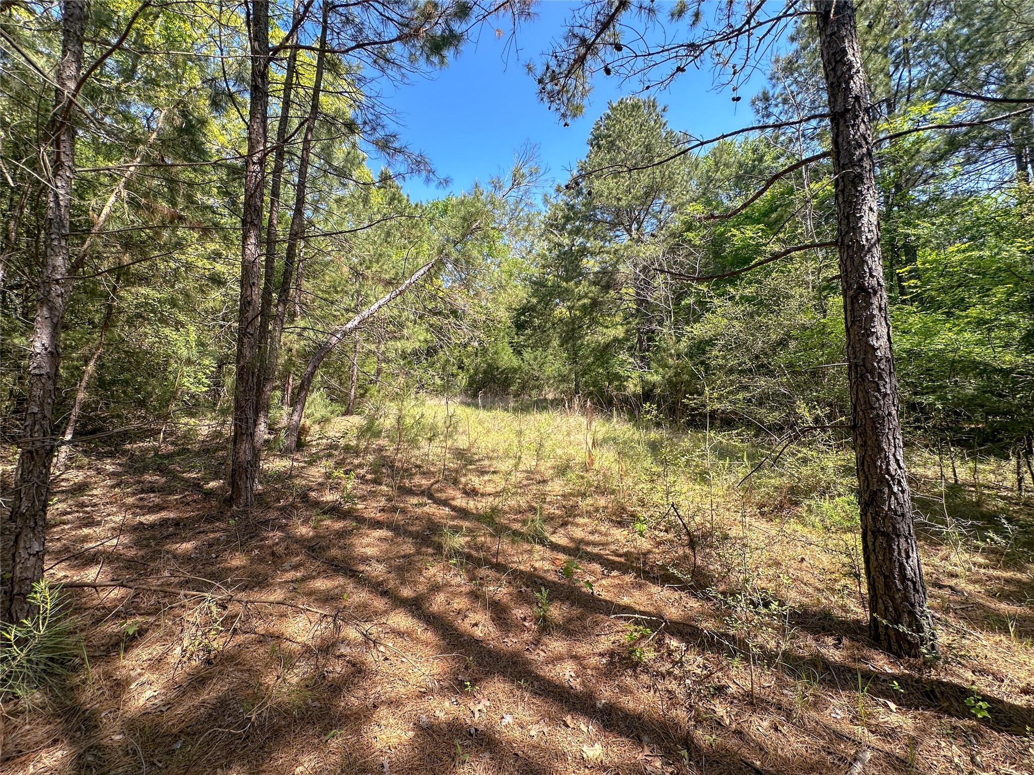 Tbd Fm 1511 Property Photo 21