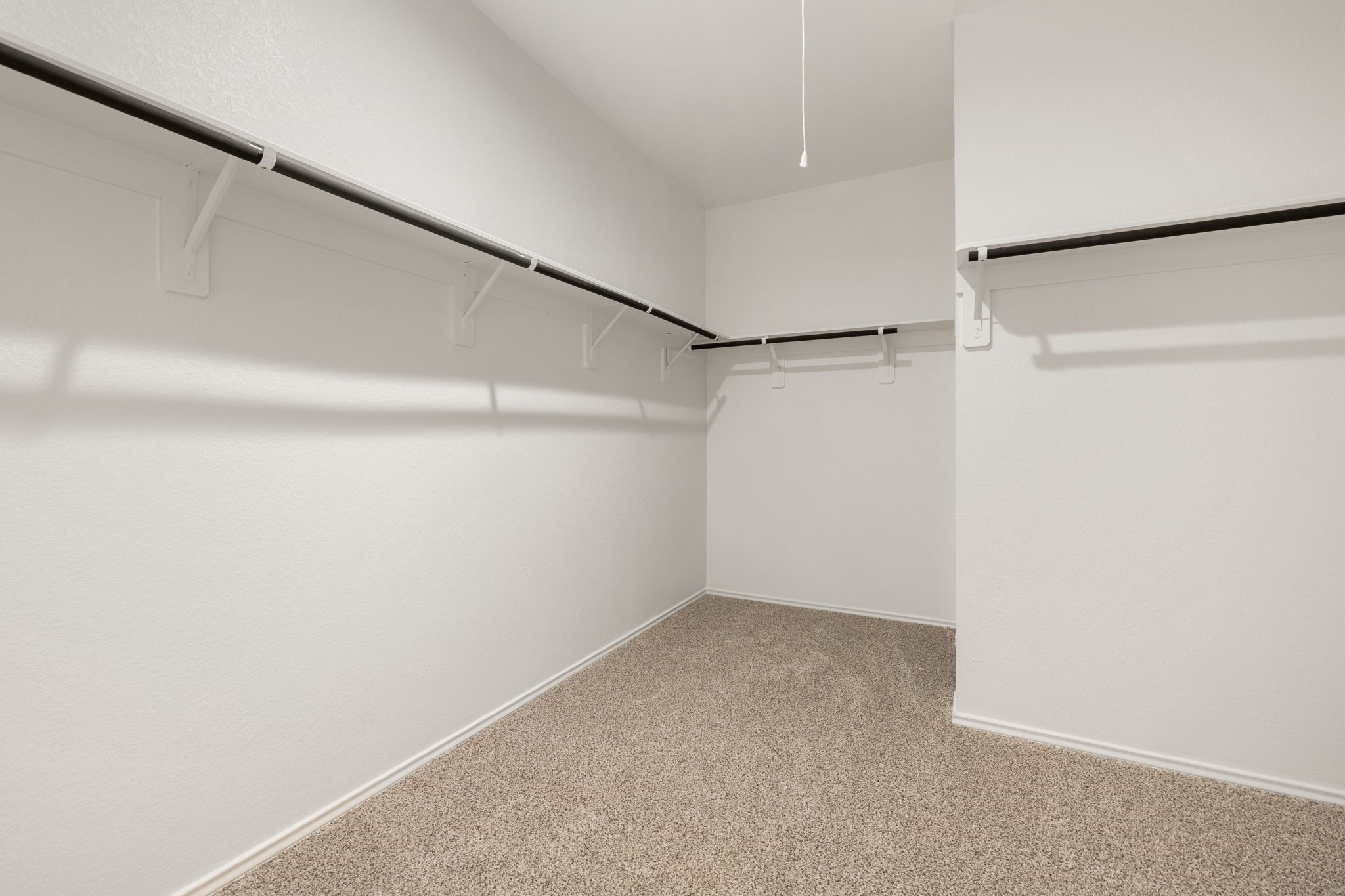 31007 Delamere Turn Trail Property Photo 10