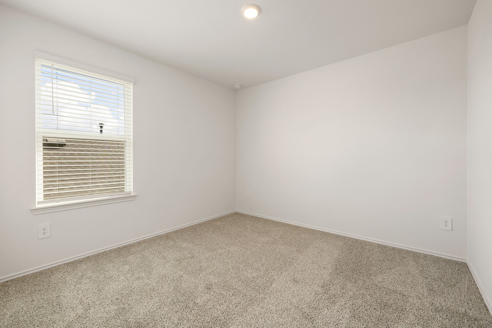 31007 Delamere Turn Trail Property Photo 11