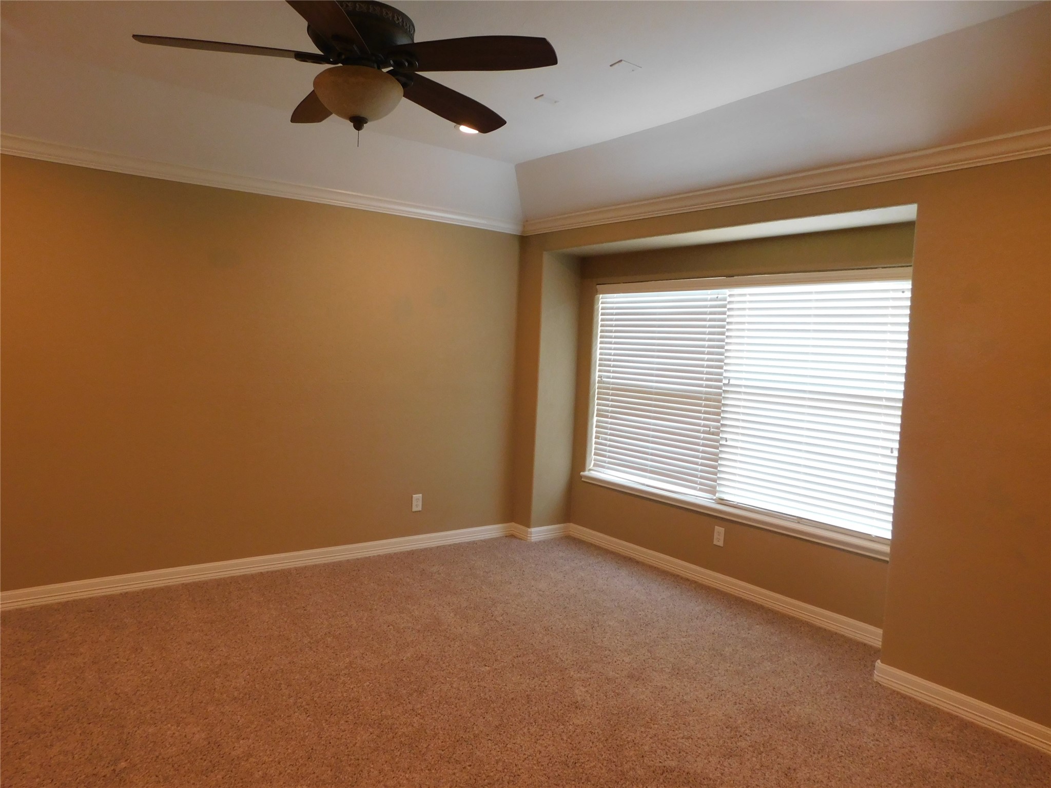 4333 Lake Run Drive Property Photo 42