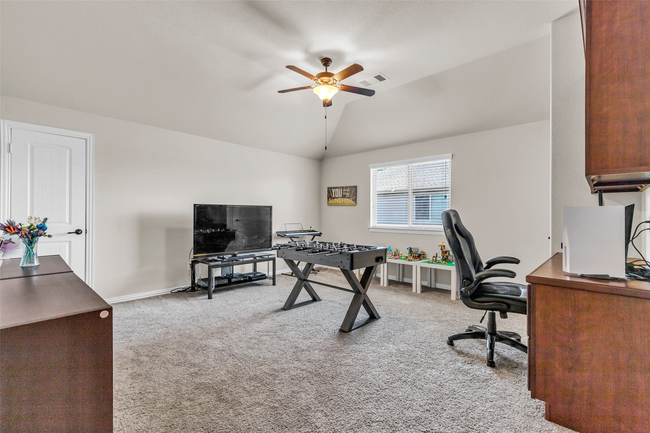 13918 Albany Springs Lane Property Photo 22