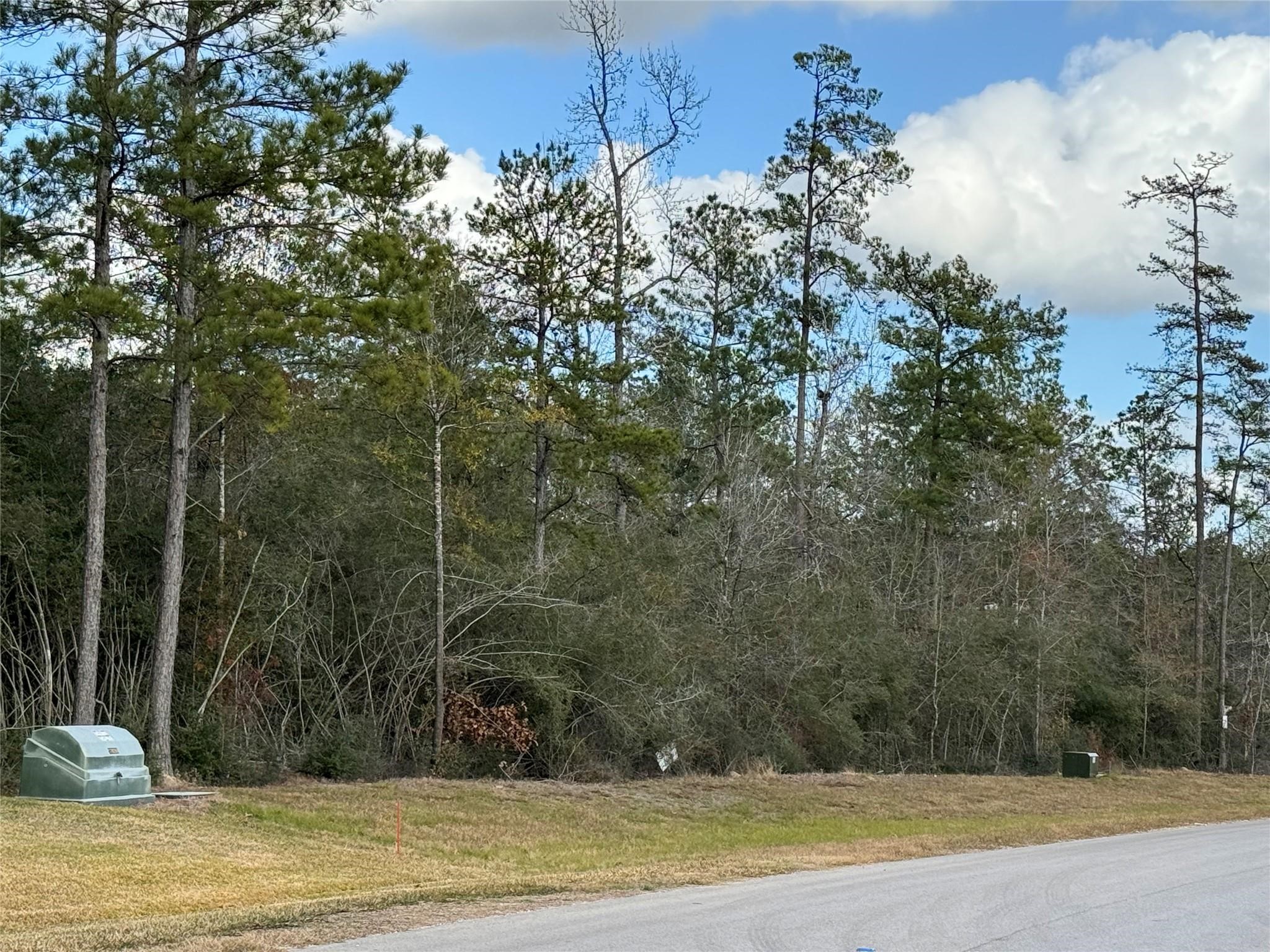 10693 Ruger Road Property Photo 4