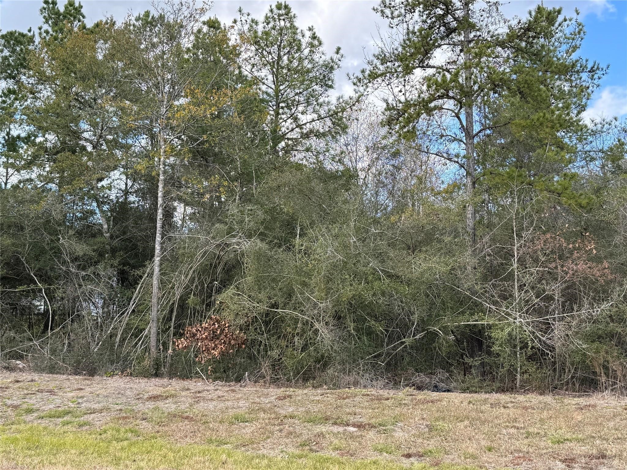 10693 Ruger Road Property Photo 5