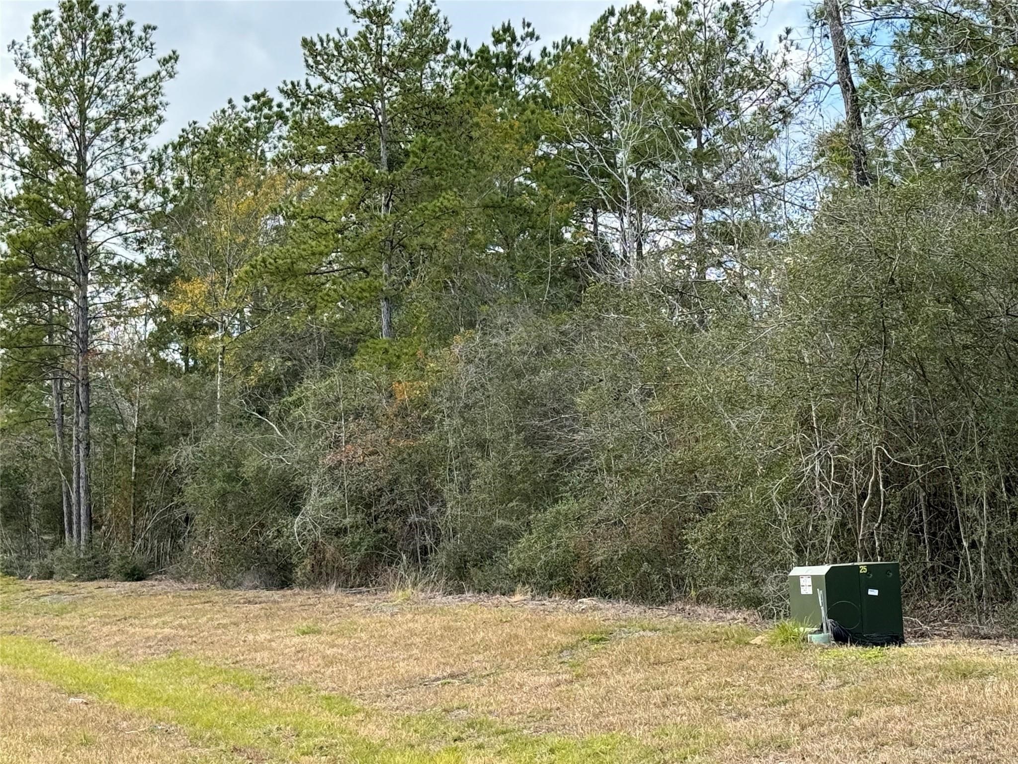 10693 Ruger Road Property Photo 6