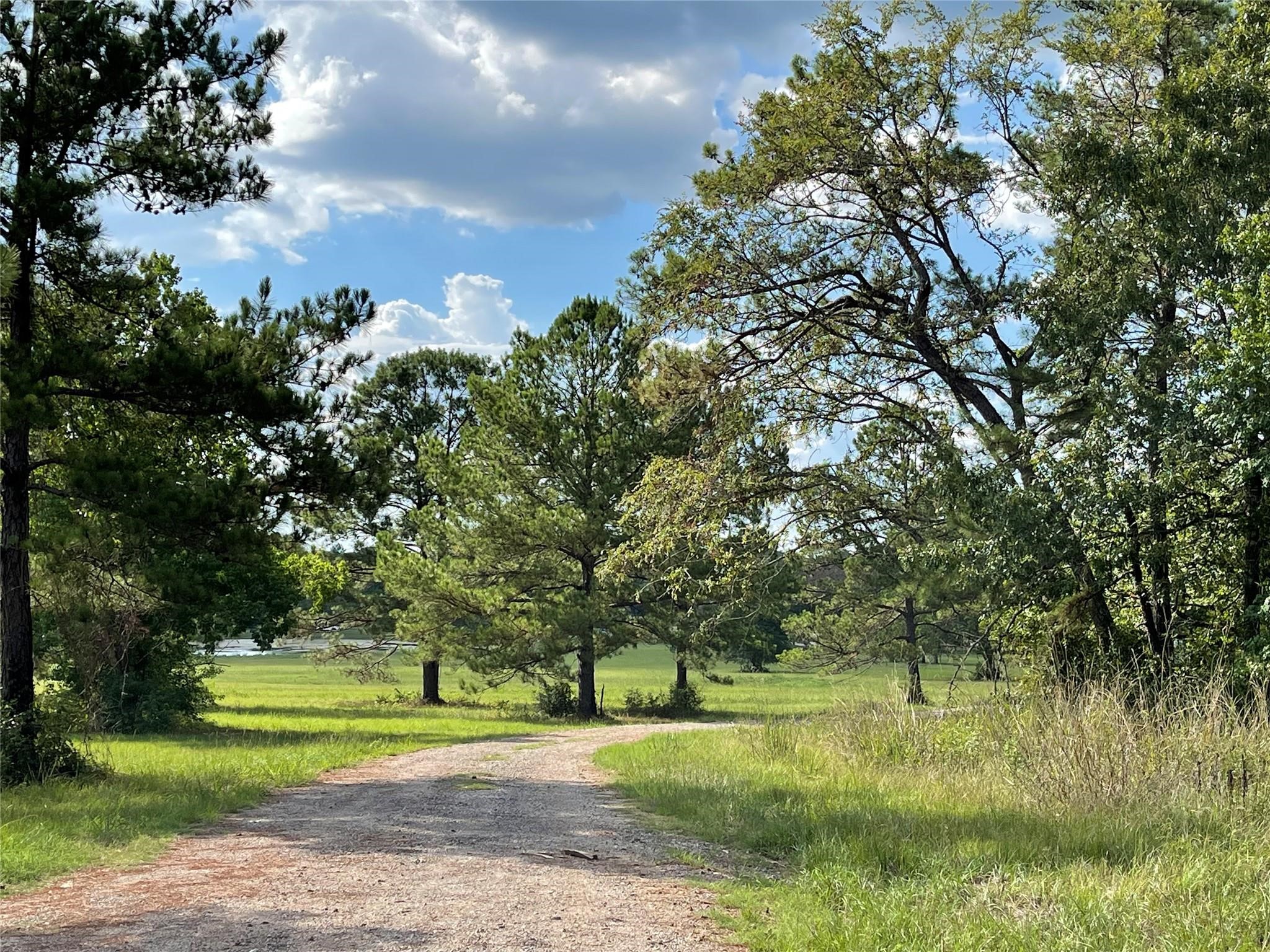 10693 Ruger Road Property Photo 13