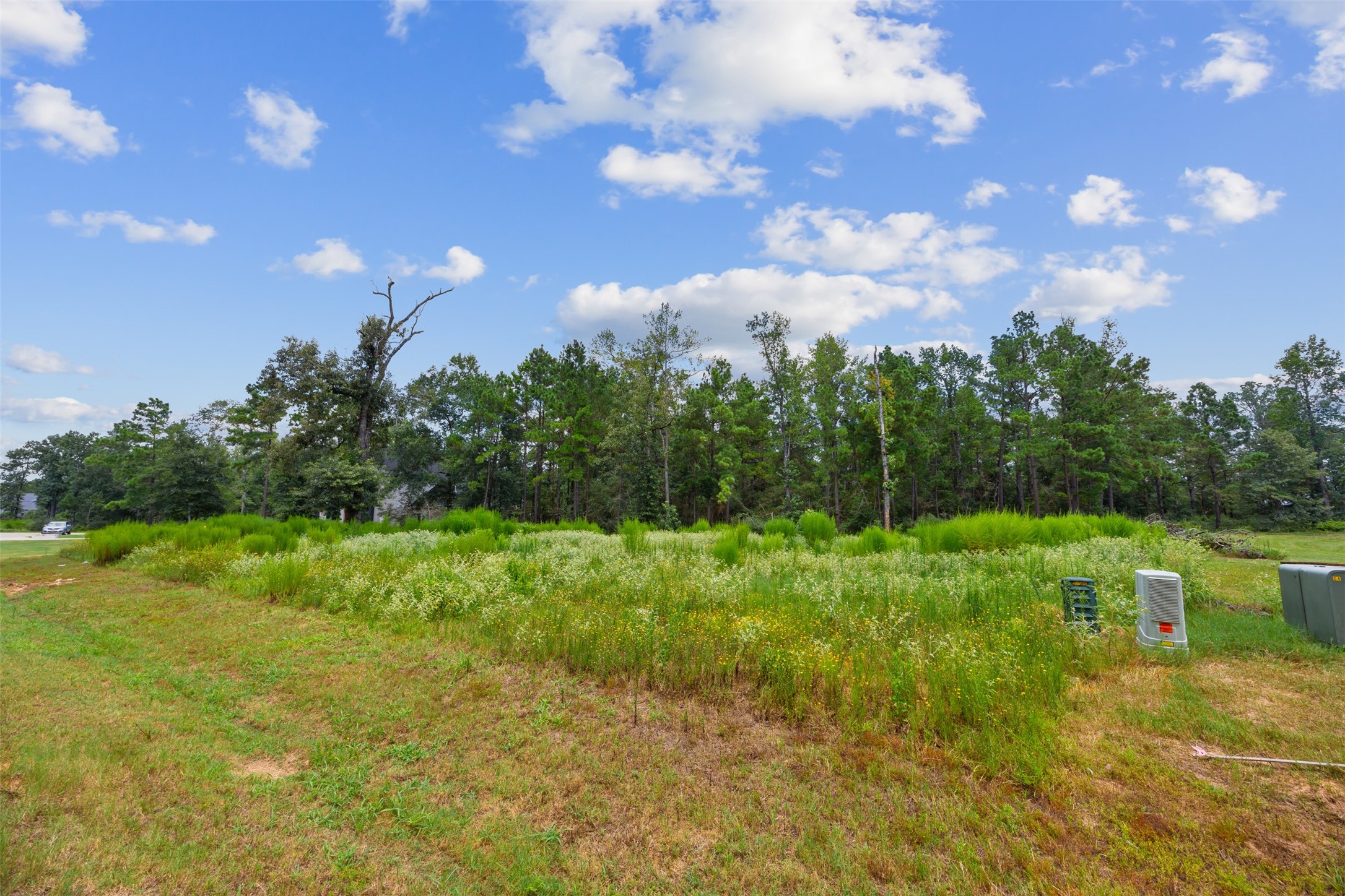 7170 Morningbrook Drive Property Photo 12