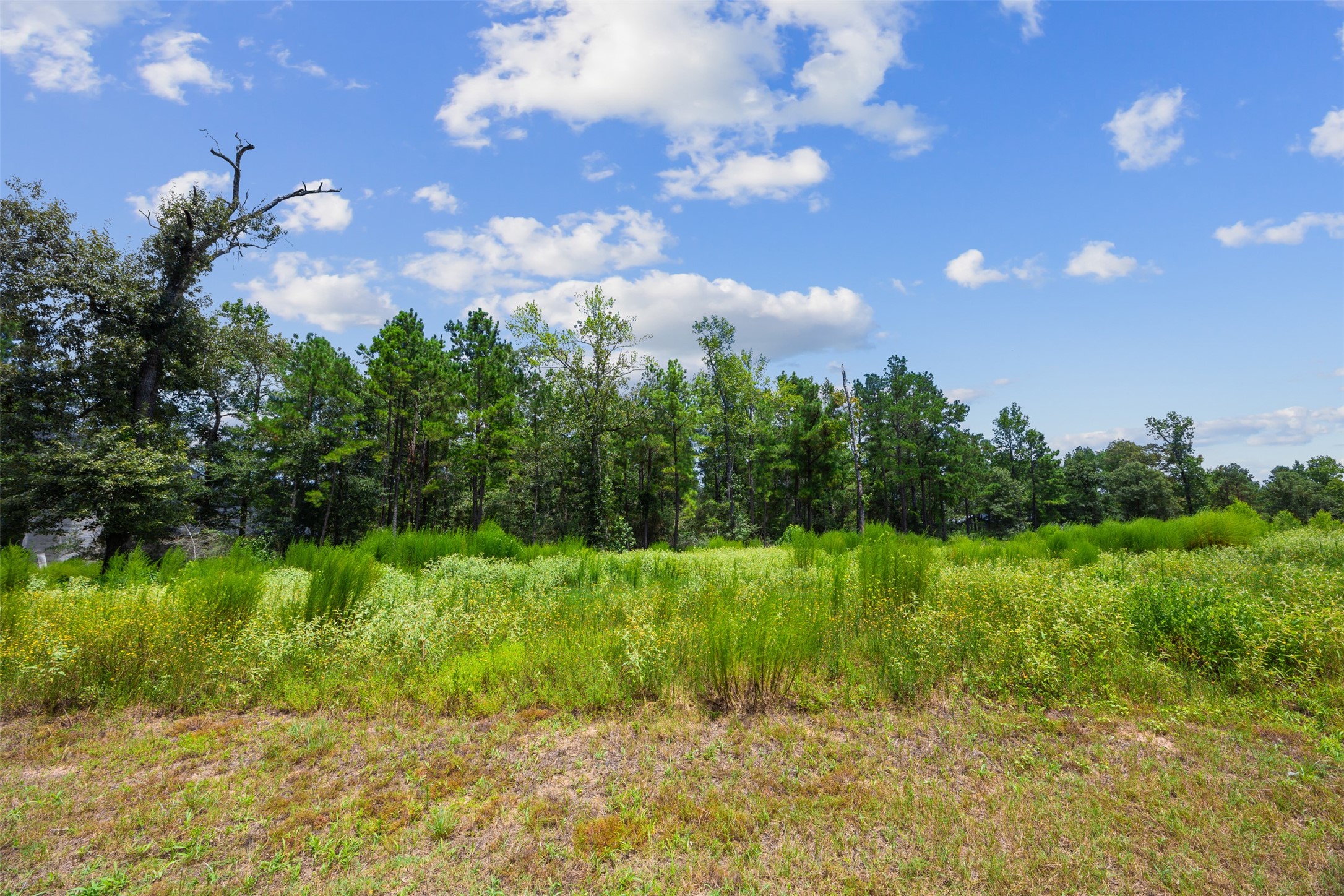 7170 Morningbrook Drive Property Photo 13