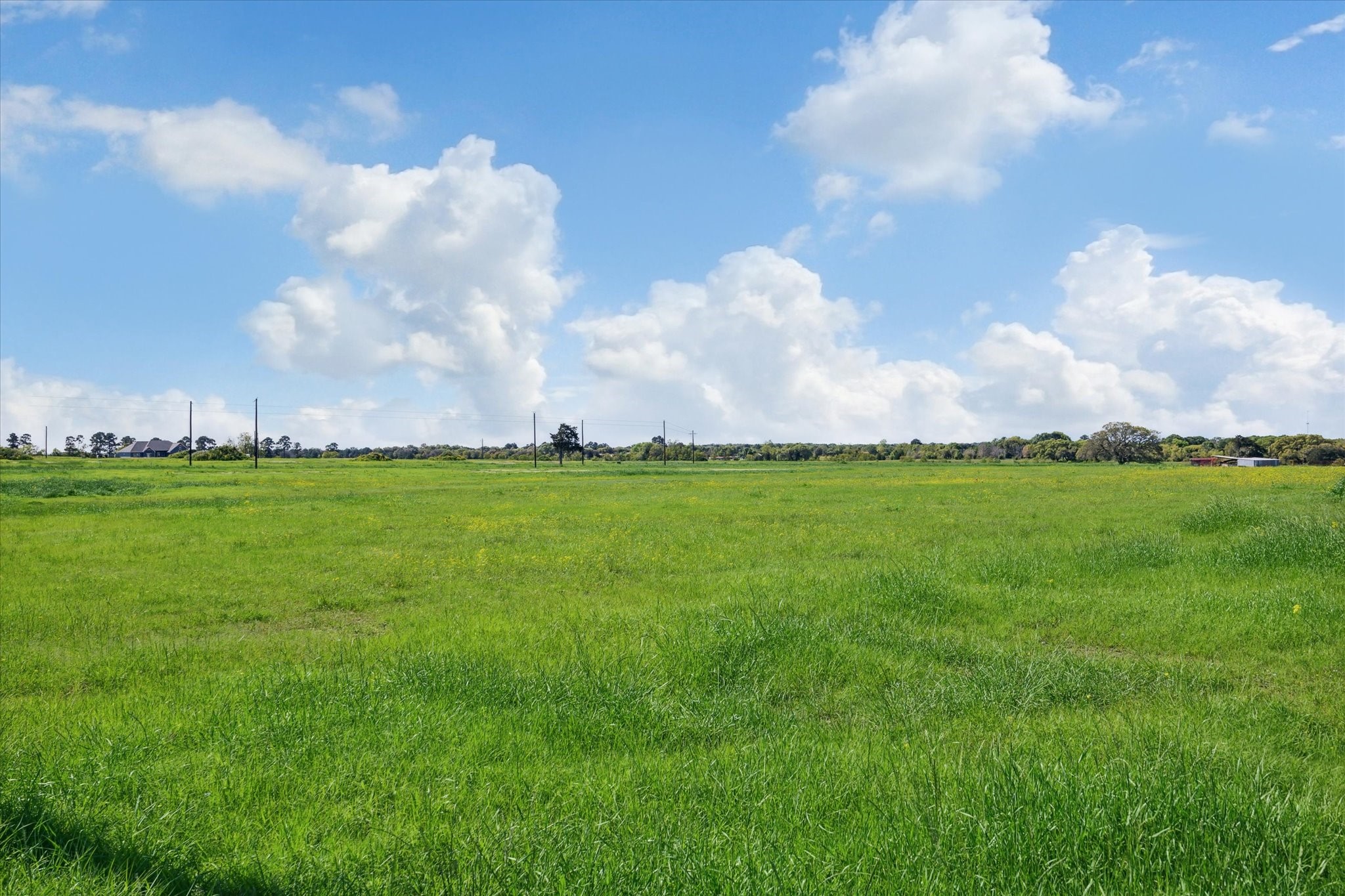 Lot 19 Acres Rolling Hill Drive Property Photo 11