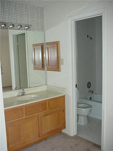7113 Goldendale Court Property Photo 8