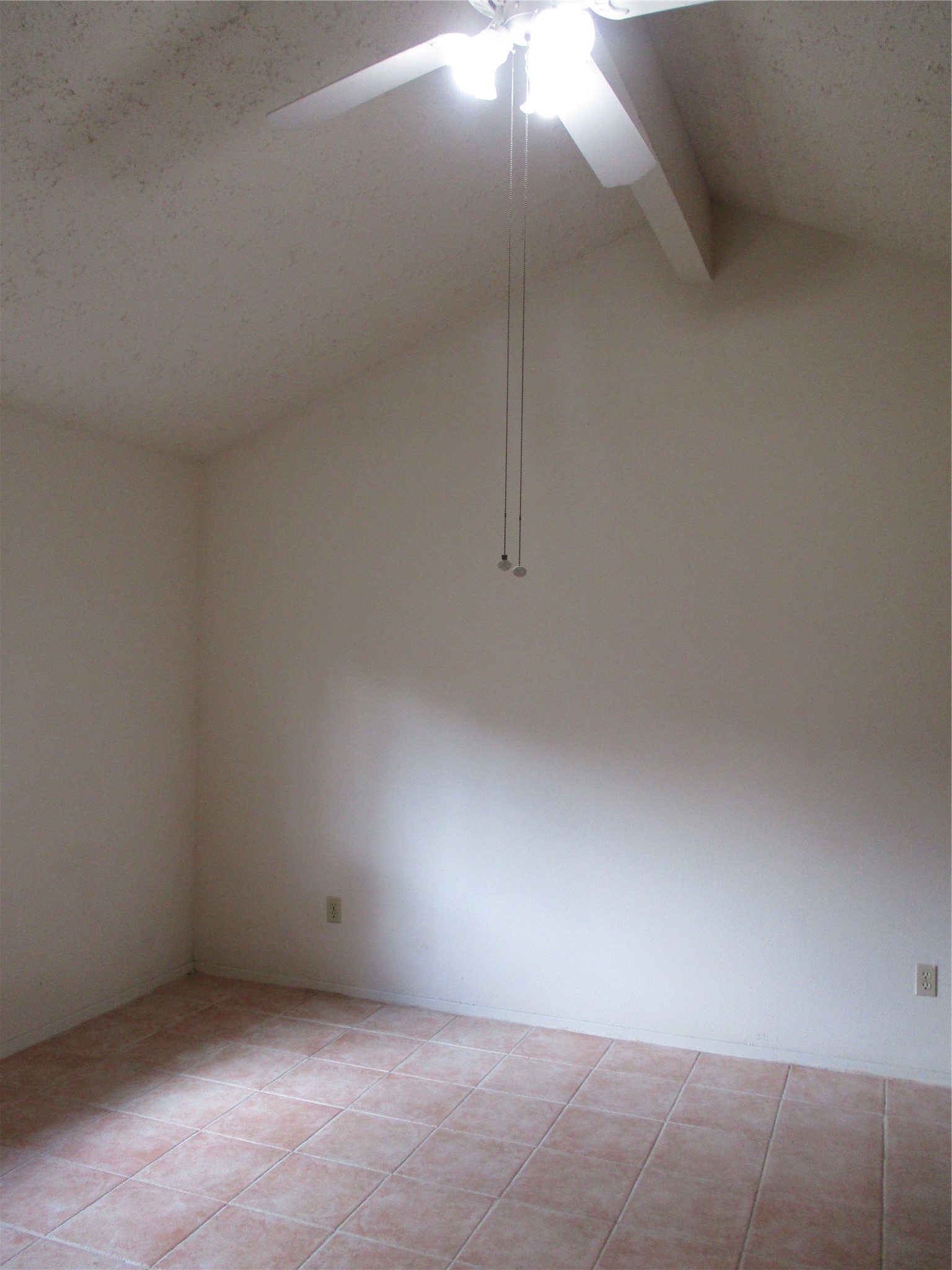 7113 Goldendale Court Property Photo 25