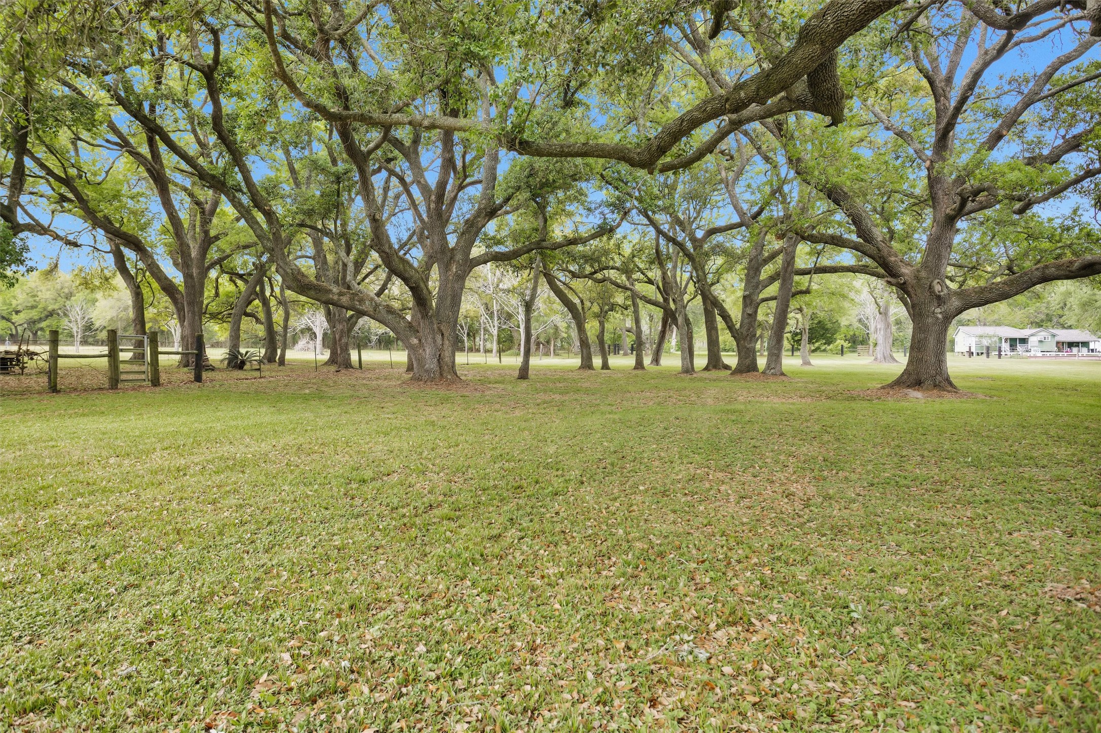 4402 Spears Road Property Photo 1