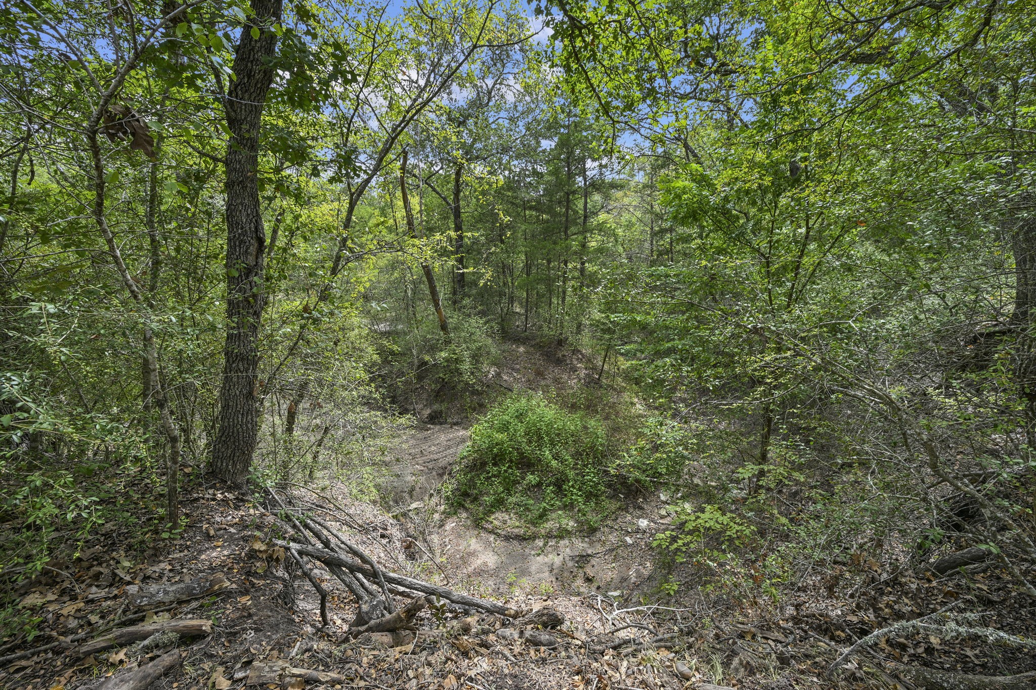 7601 Jones Road Property Photo 24