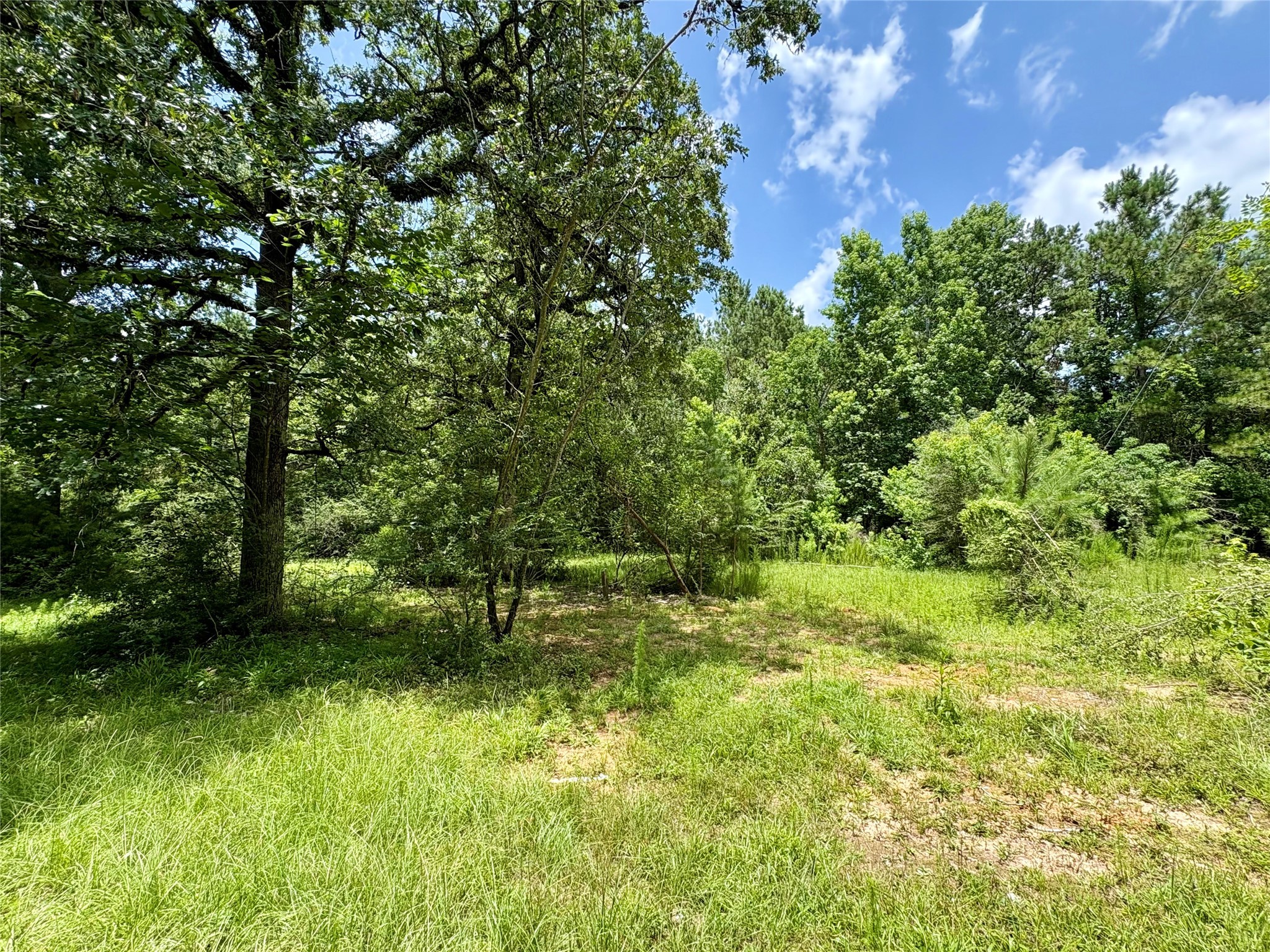 352 Tom Cummings Road Property Photo 1