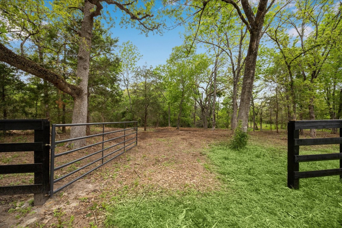 4539 Old Navasota Rd Property Photo 3