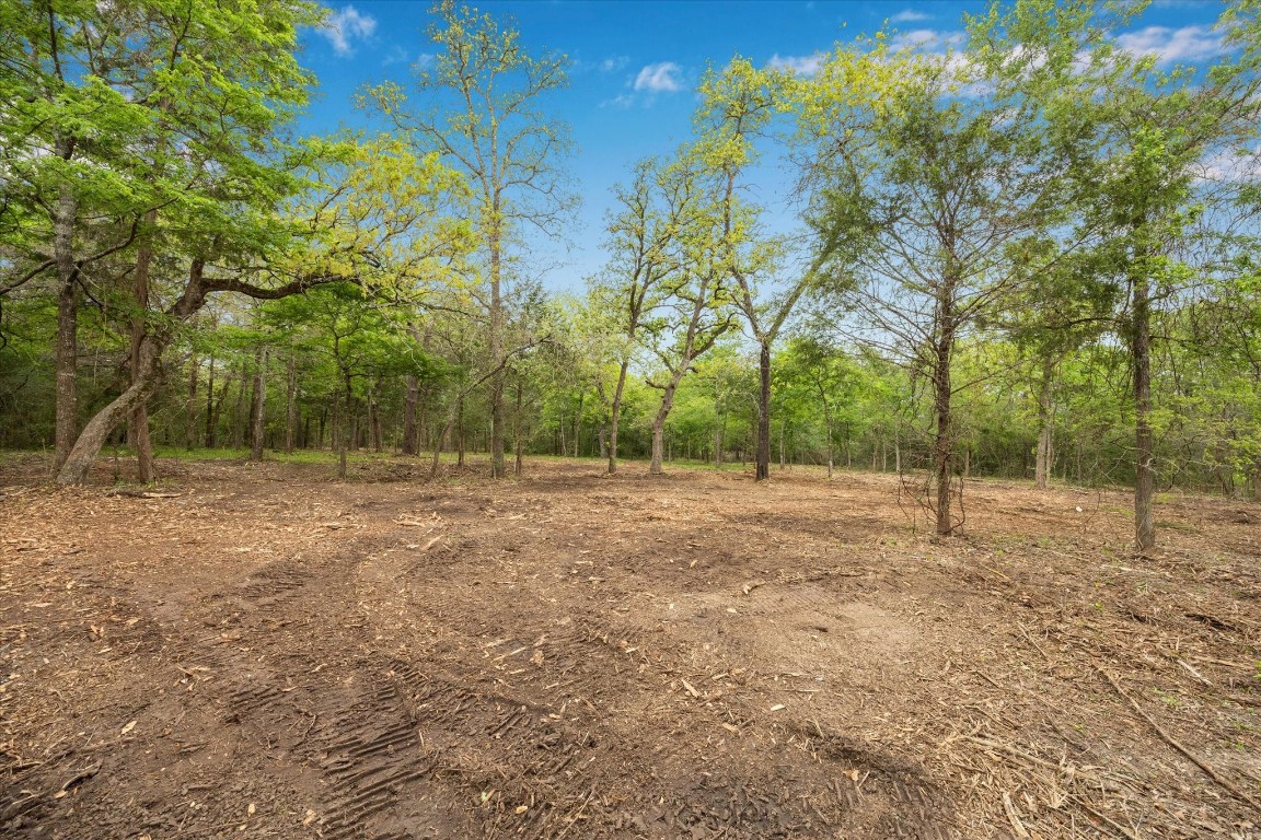 4539 Old Navasota Rd Property Photo 4