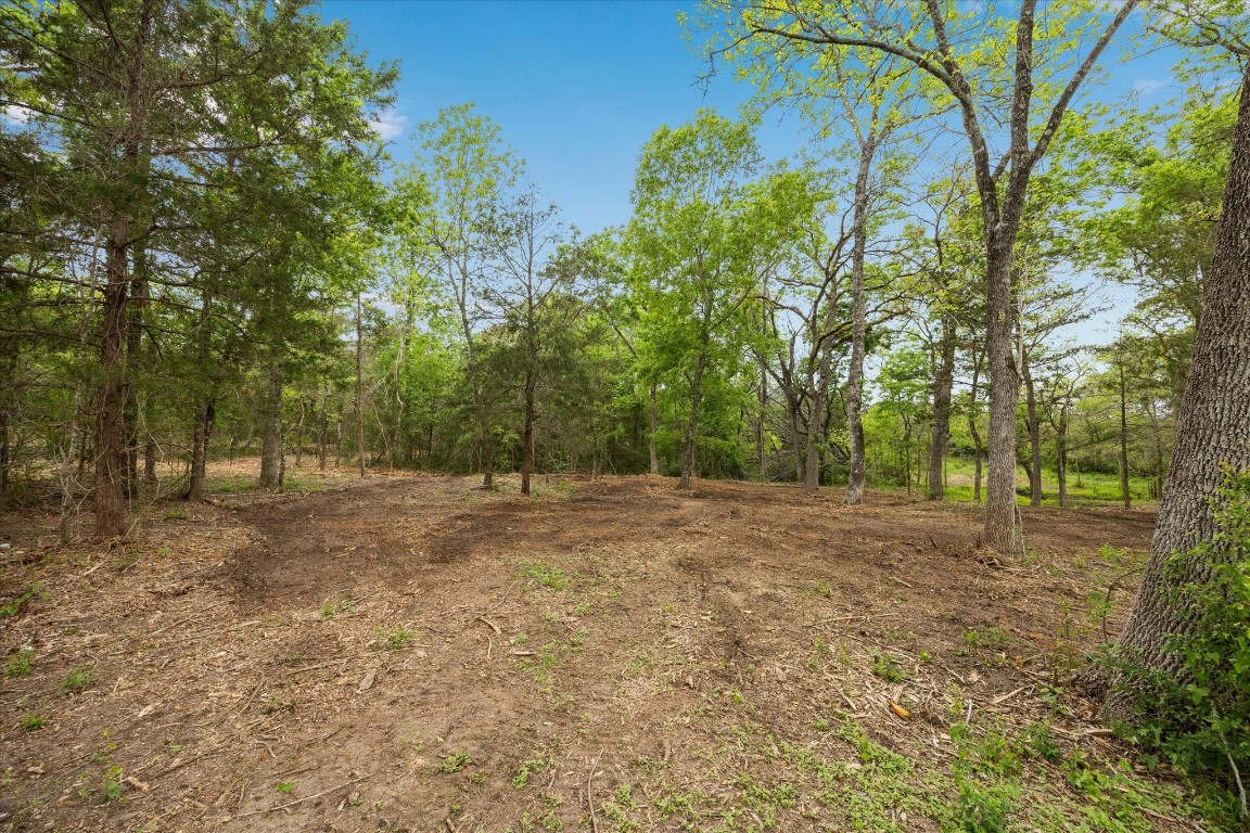 4539 Old Navasota Rd Property Photo 5