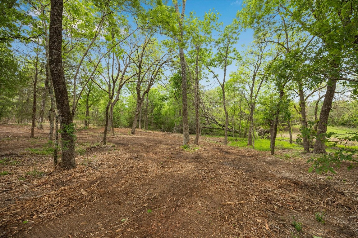 4539 Old Navasota Rd Property Photo 6