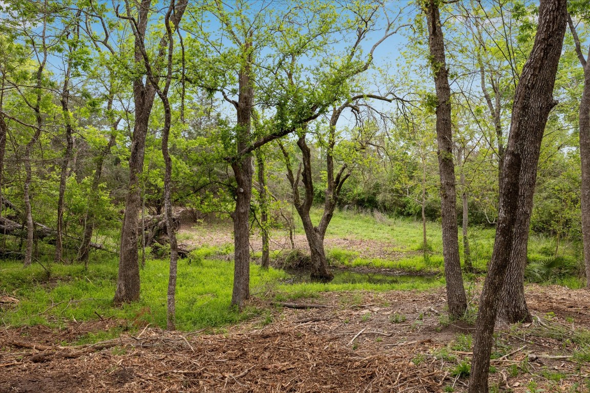 4539 Old Navasota Rd Property Photo 7