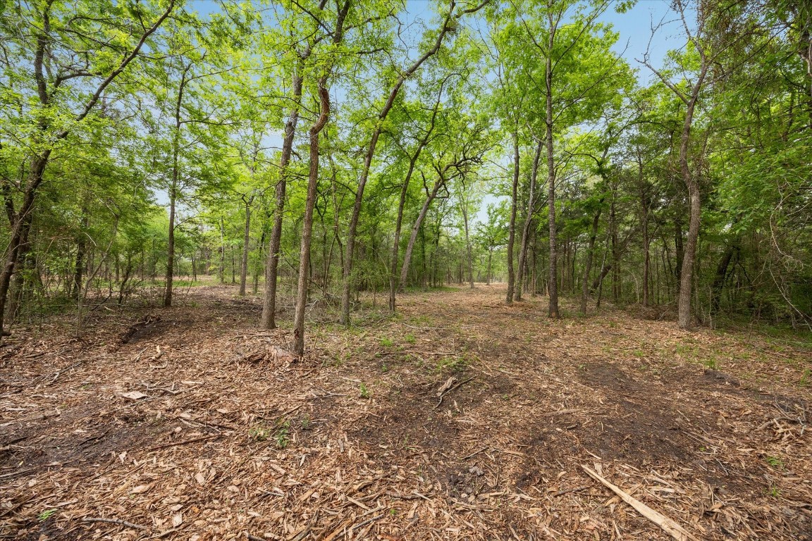 4539 Old Navasota Rd Property Photo 8