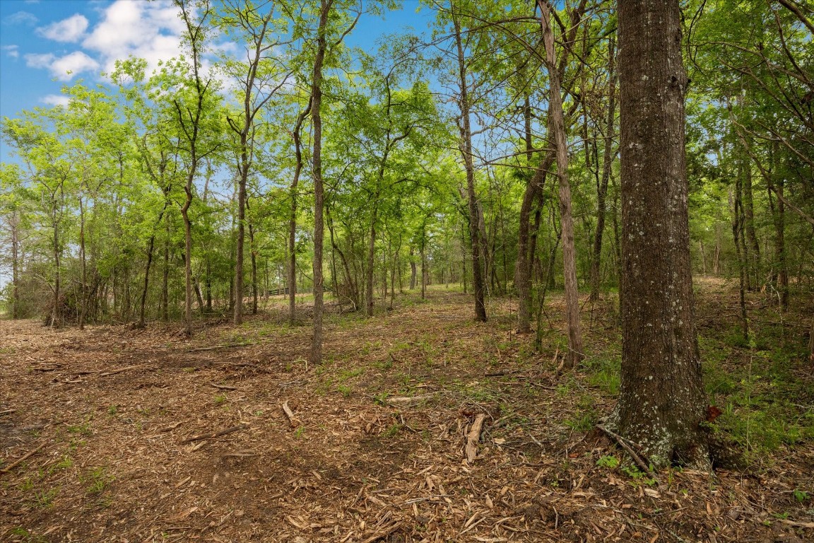4539 Old Navasota Rd Property Photo 9
