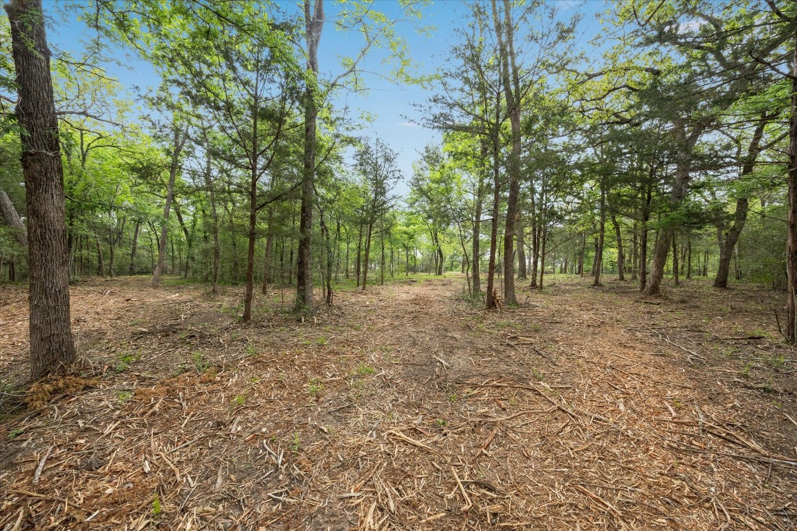 4539 Old Navasota Rd Property Photo 10