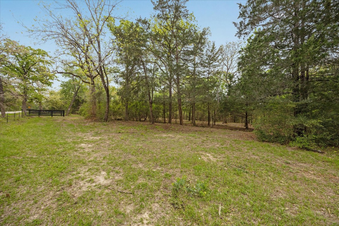 4539 Old Navasota Rd Property Photo 12