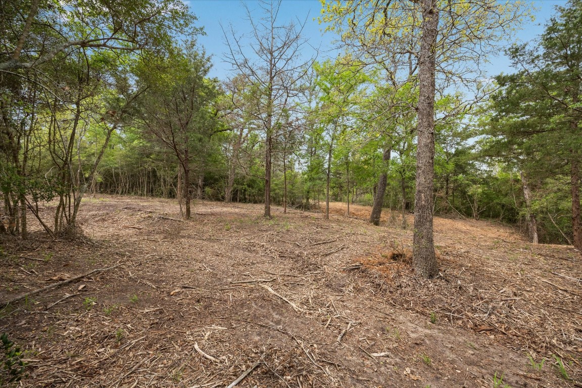 4539 Old Navasota Rd Property Photo 13