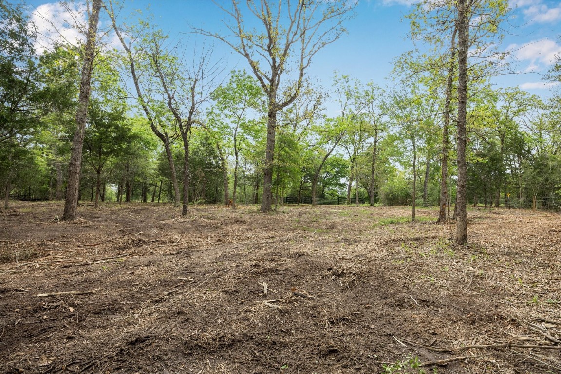 4539 Old Navasota Rd Property Photo 14