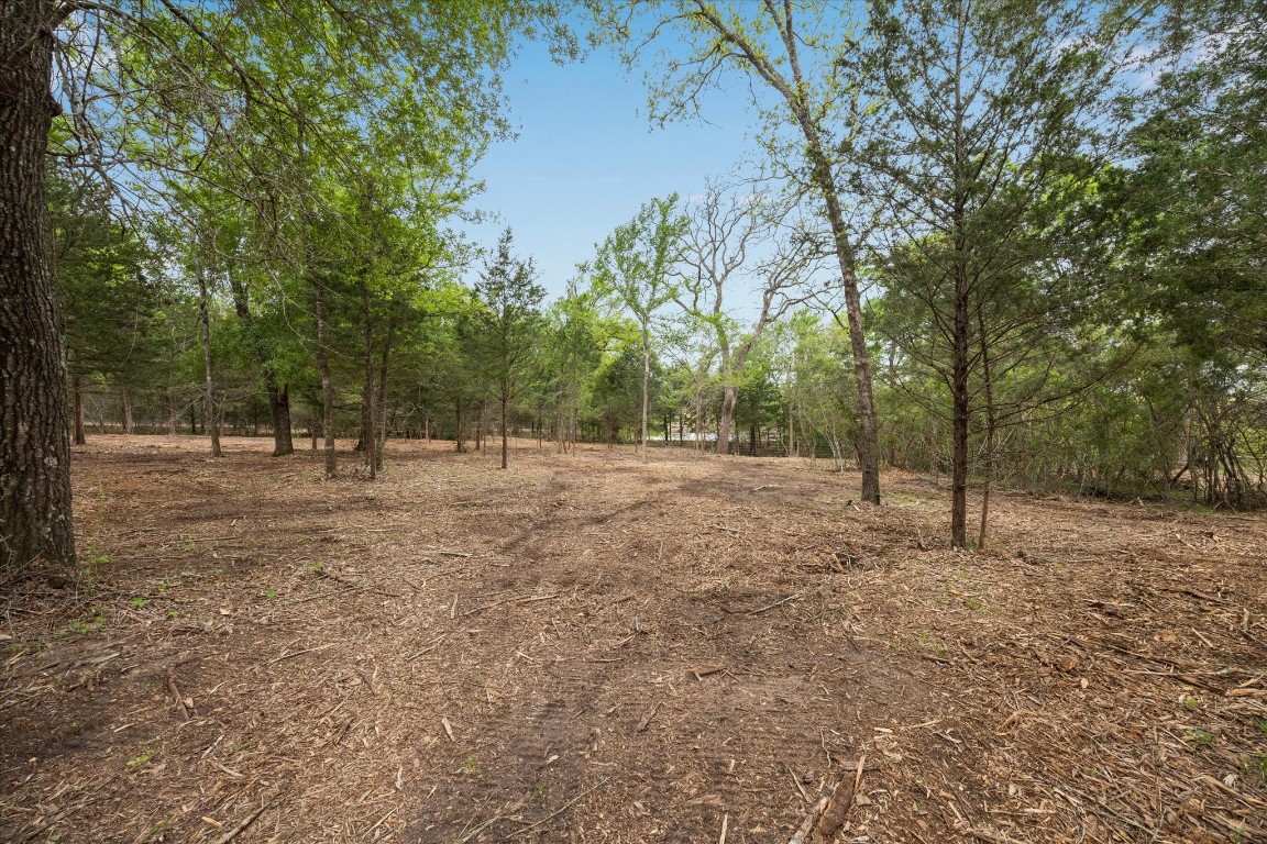 4539 Old Navasota Rd Property Photo 15
