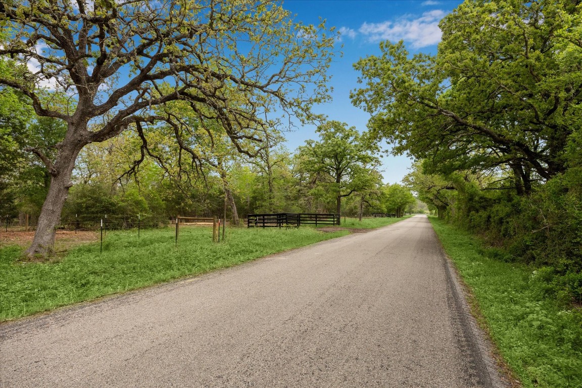4539 Old Navasota Rd Property Photo 16