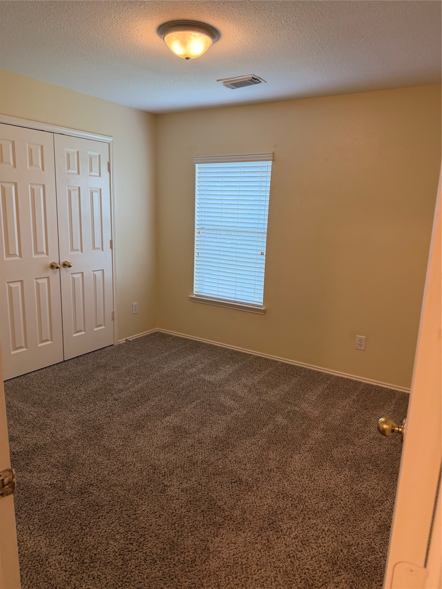 3031 Peerless Pass Ct Property Photo 11